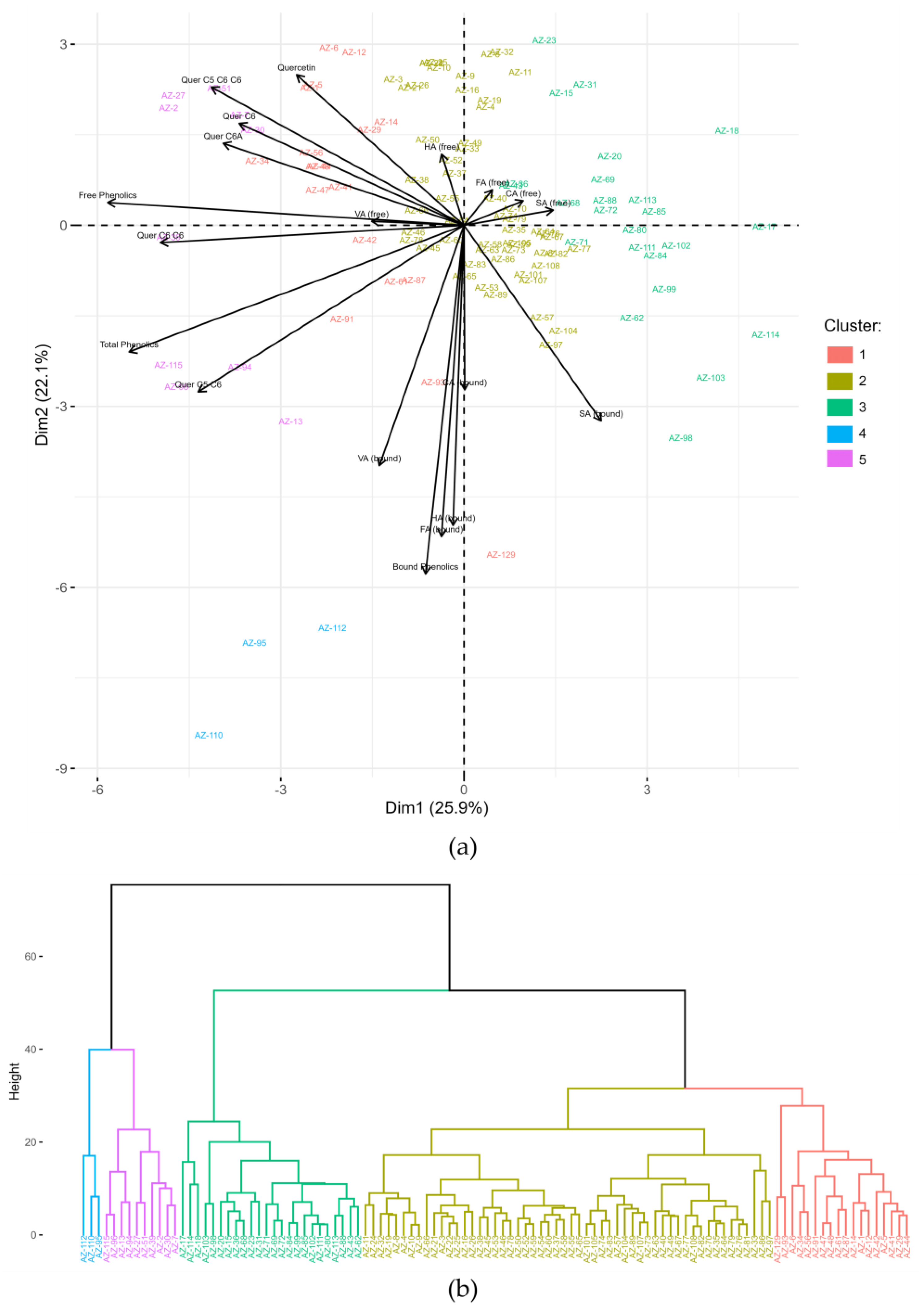 Agronomy 13 02170 g004