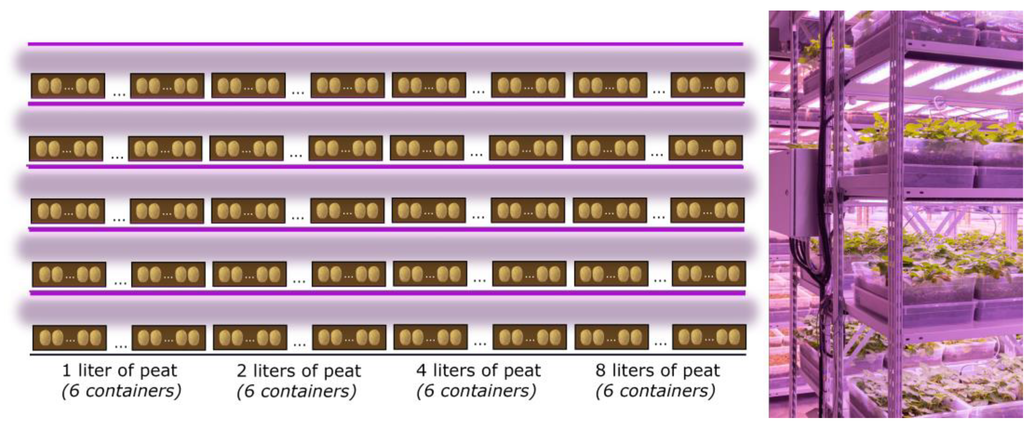 Agronomy 13 02174 g001