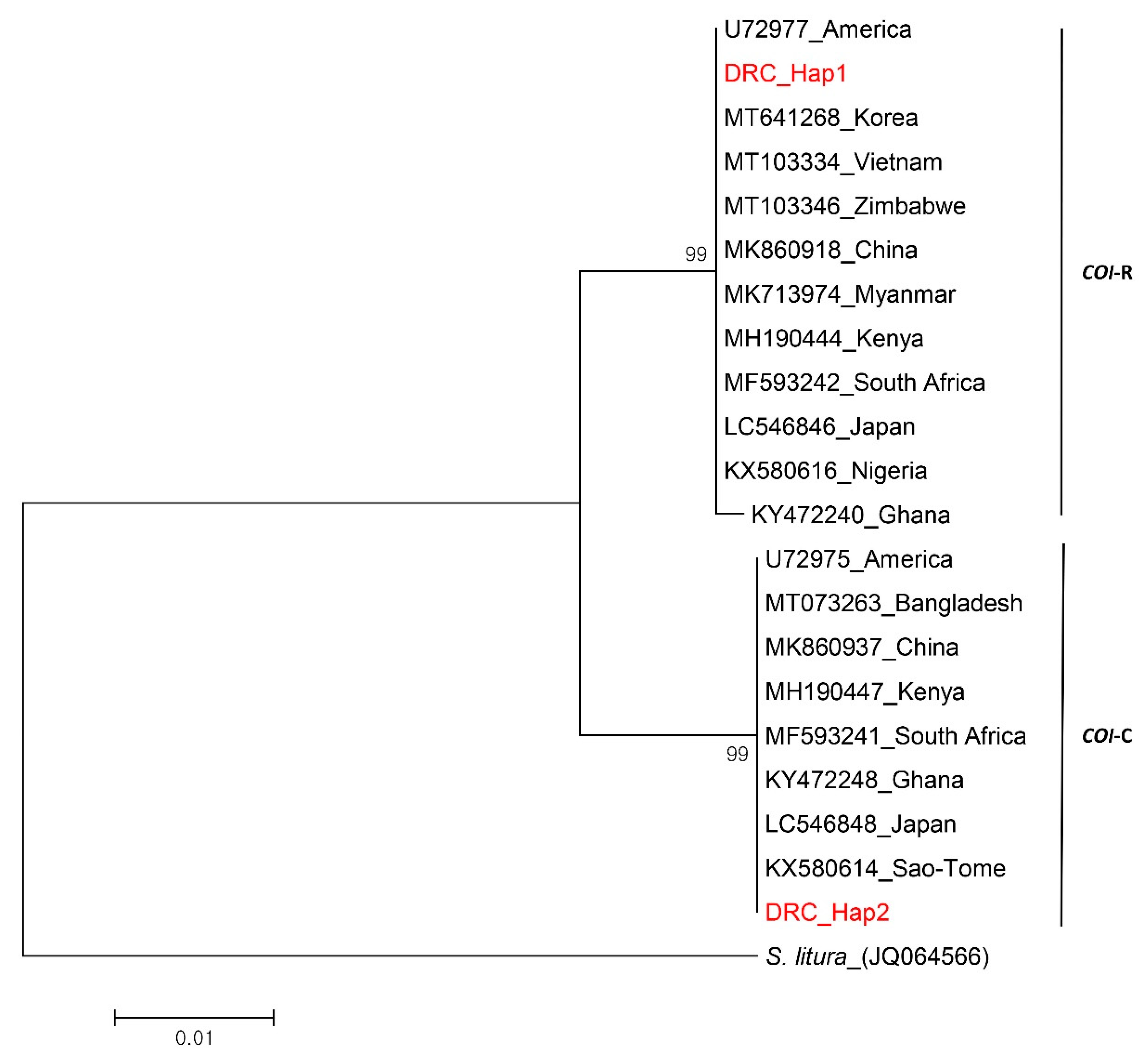 Agronomy 13 02175 g003