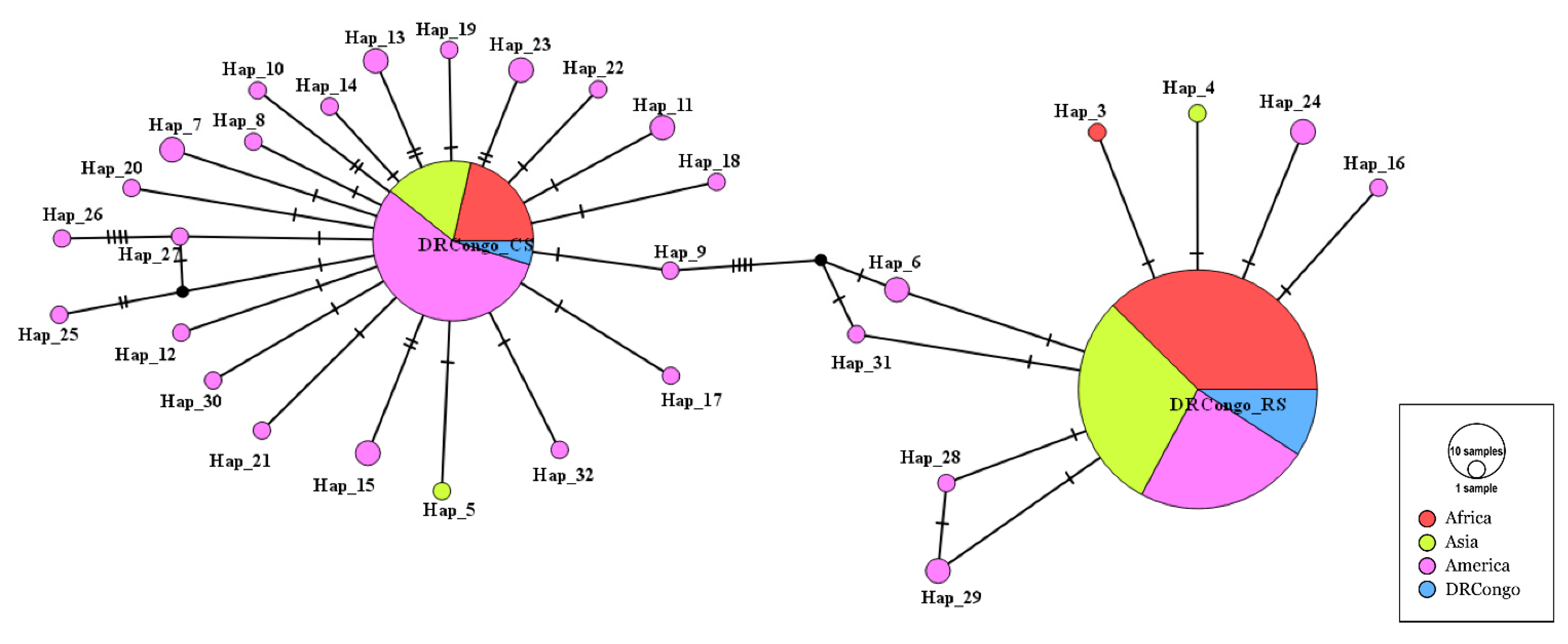 Agronomy 13 02175 g004