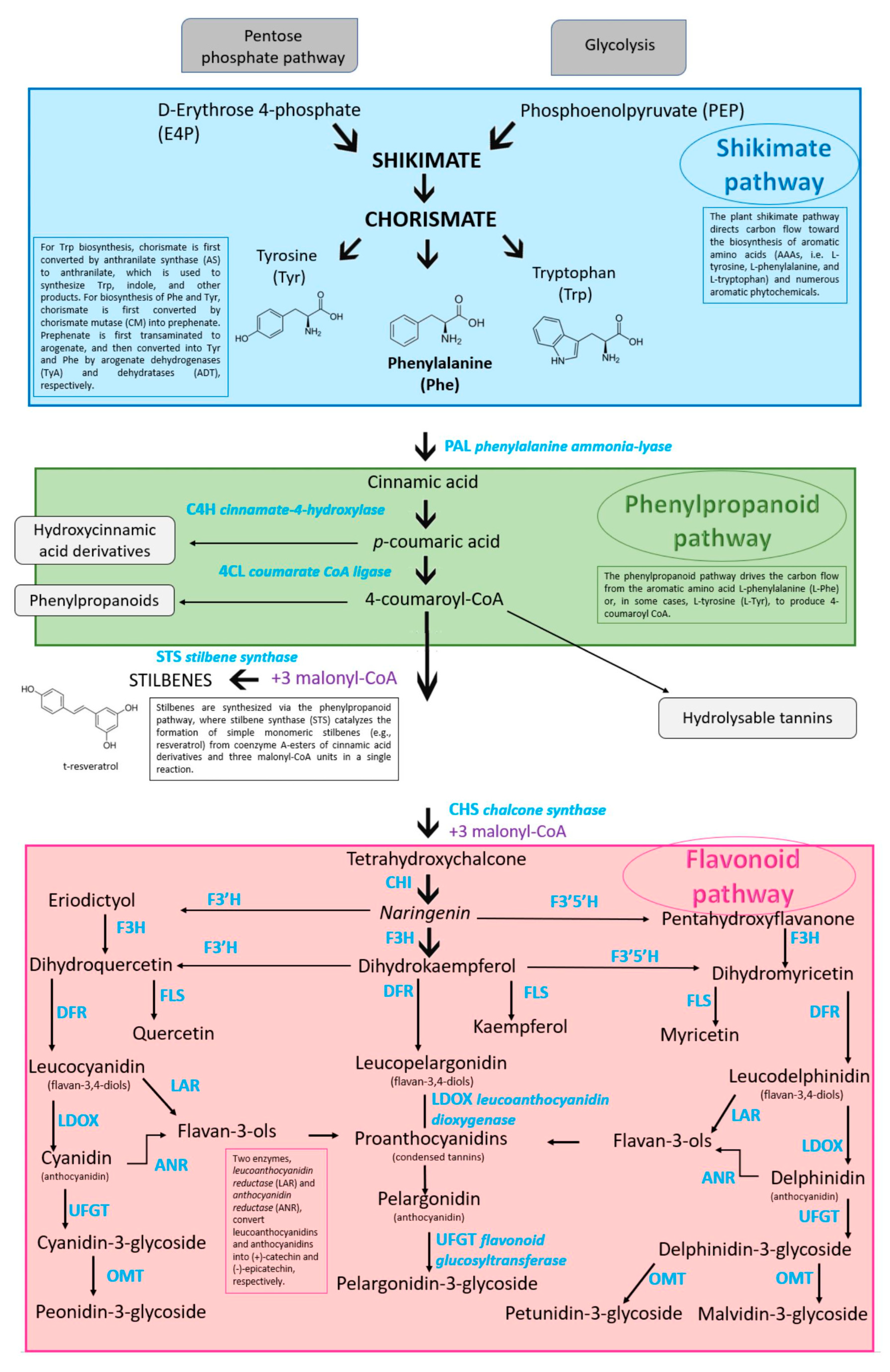 Agronomy 13 02192 g002