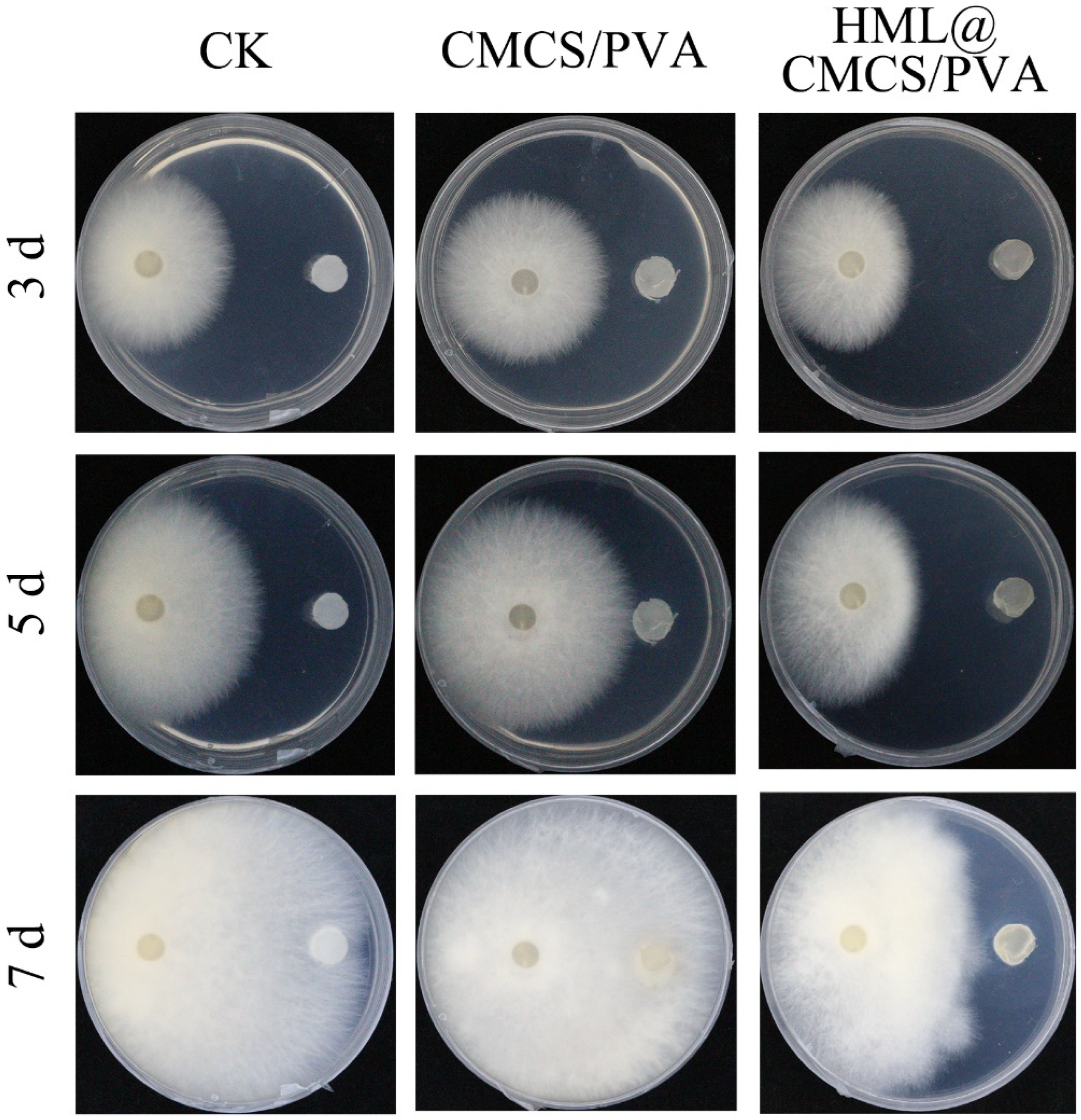 Frontiers  Investigation of carboxymethyl chitosan in the development of  biodegradable soft bait fishing lures