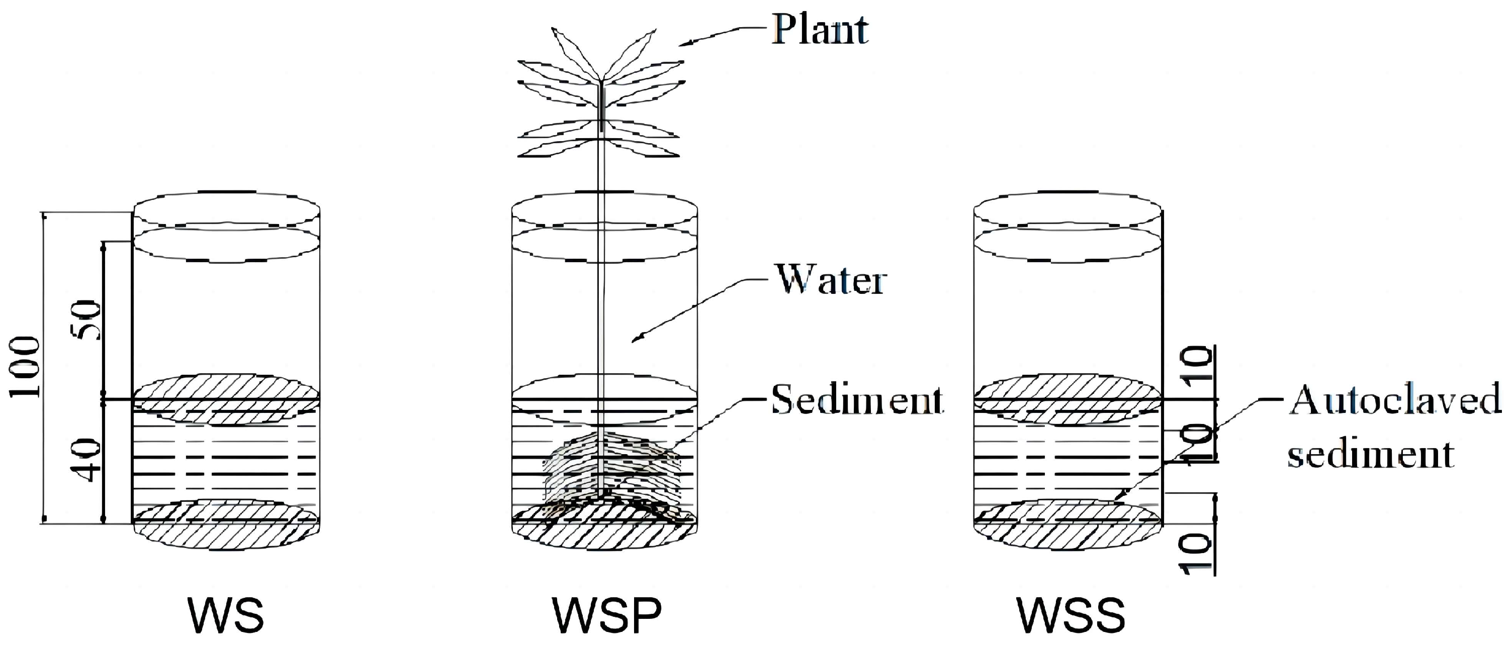 Agronomy | Free Full-Text | Influence of Sediment, Plants, and 