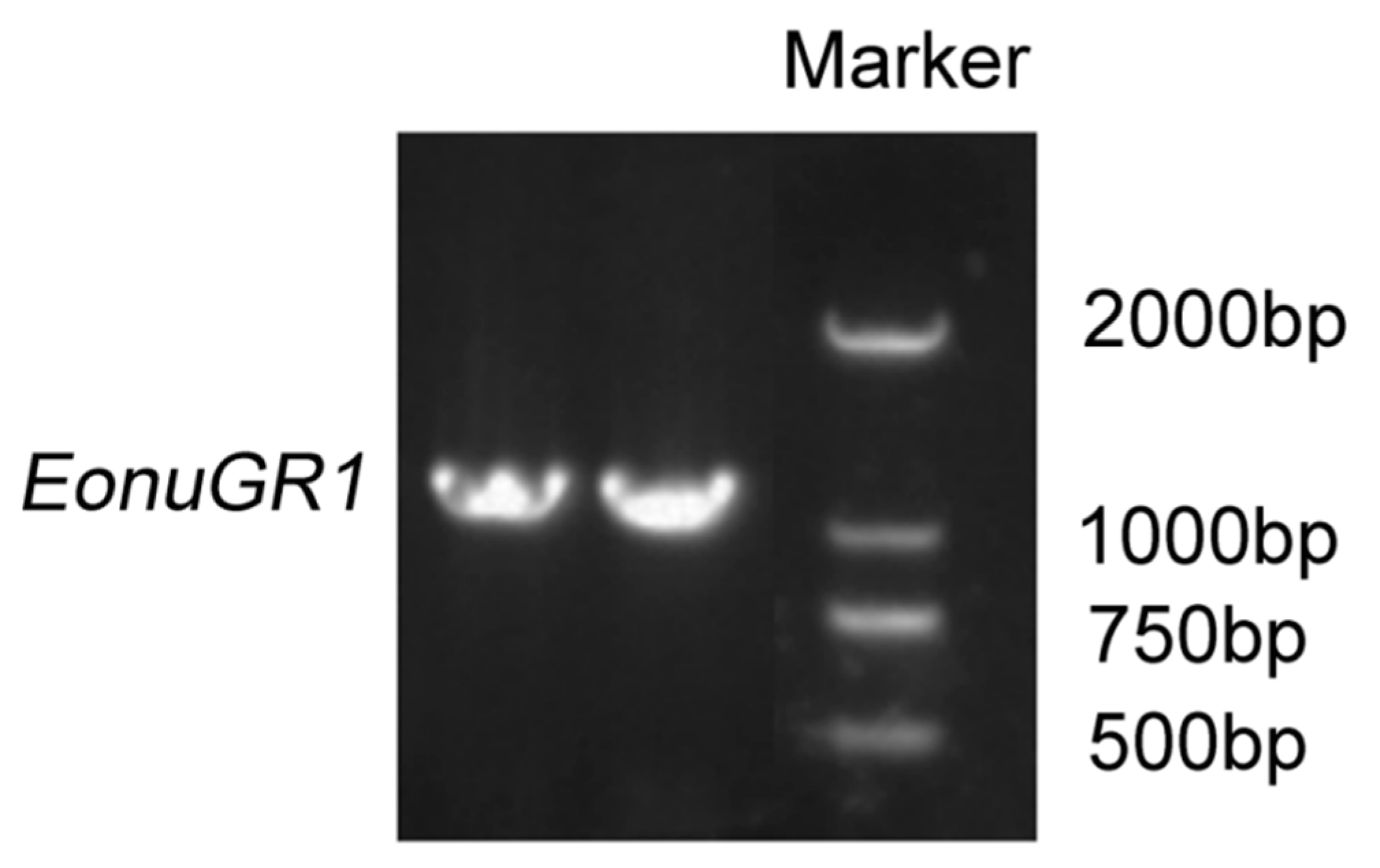 Agronomy 13 02221 g001