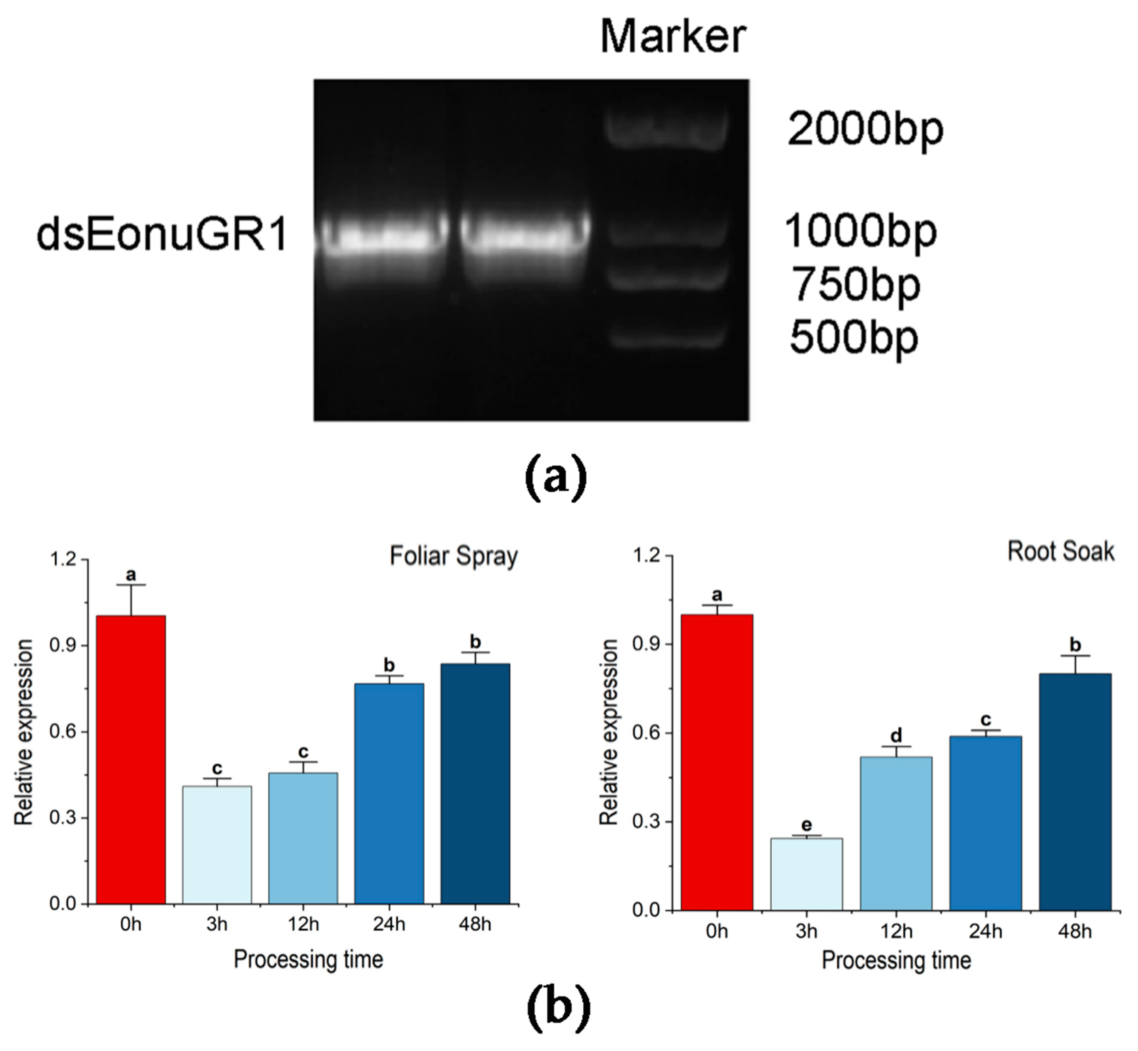 Agronomy 13 02221 g004