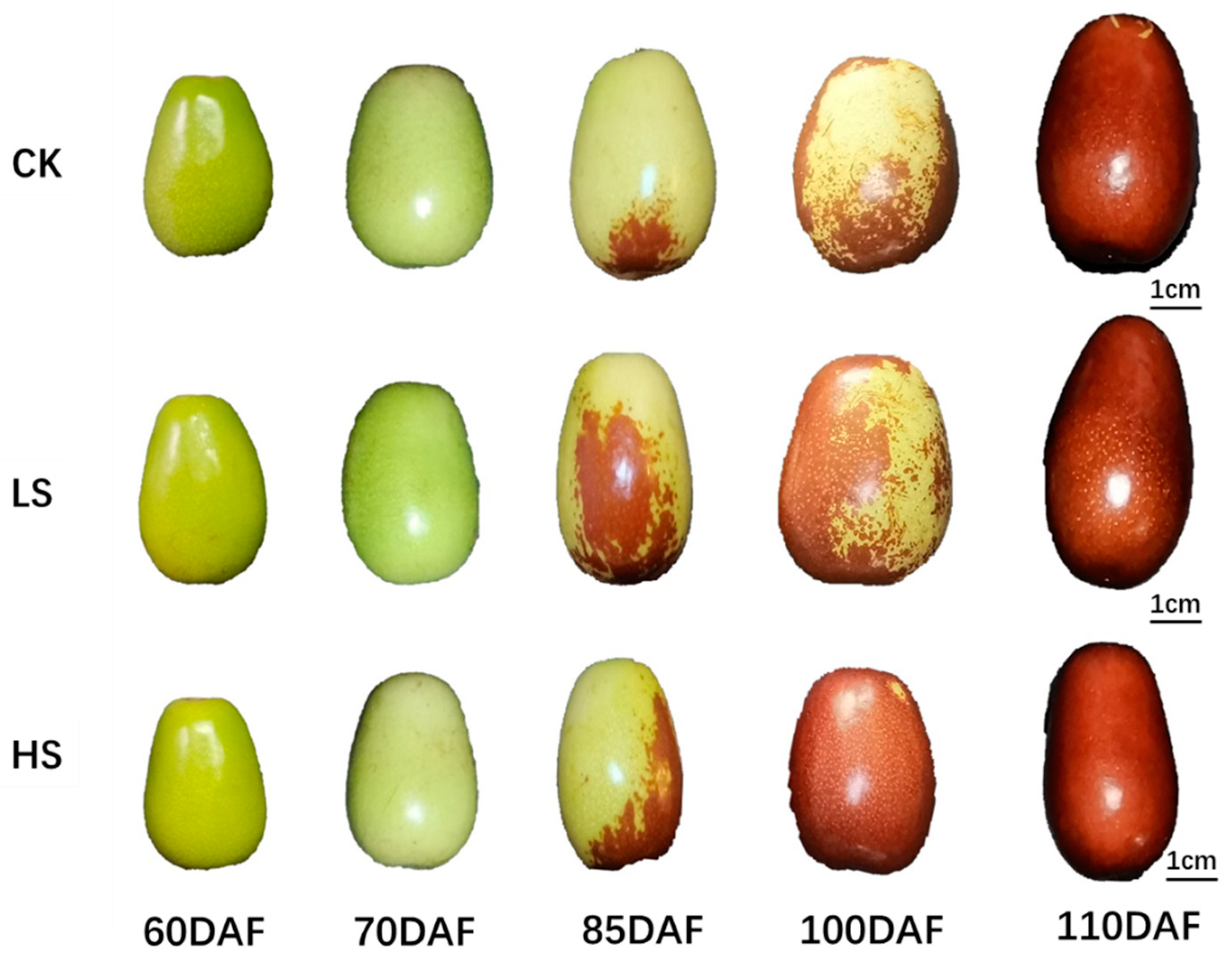 Agronomy 13 02243 g001