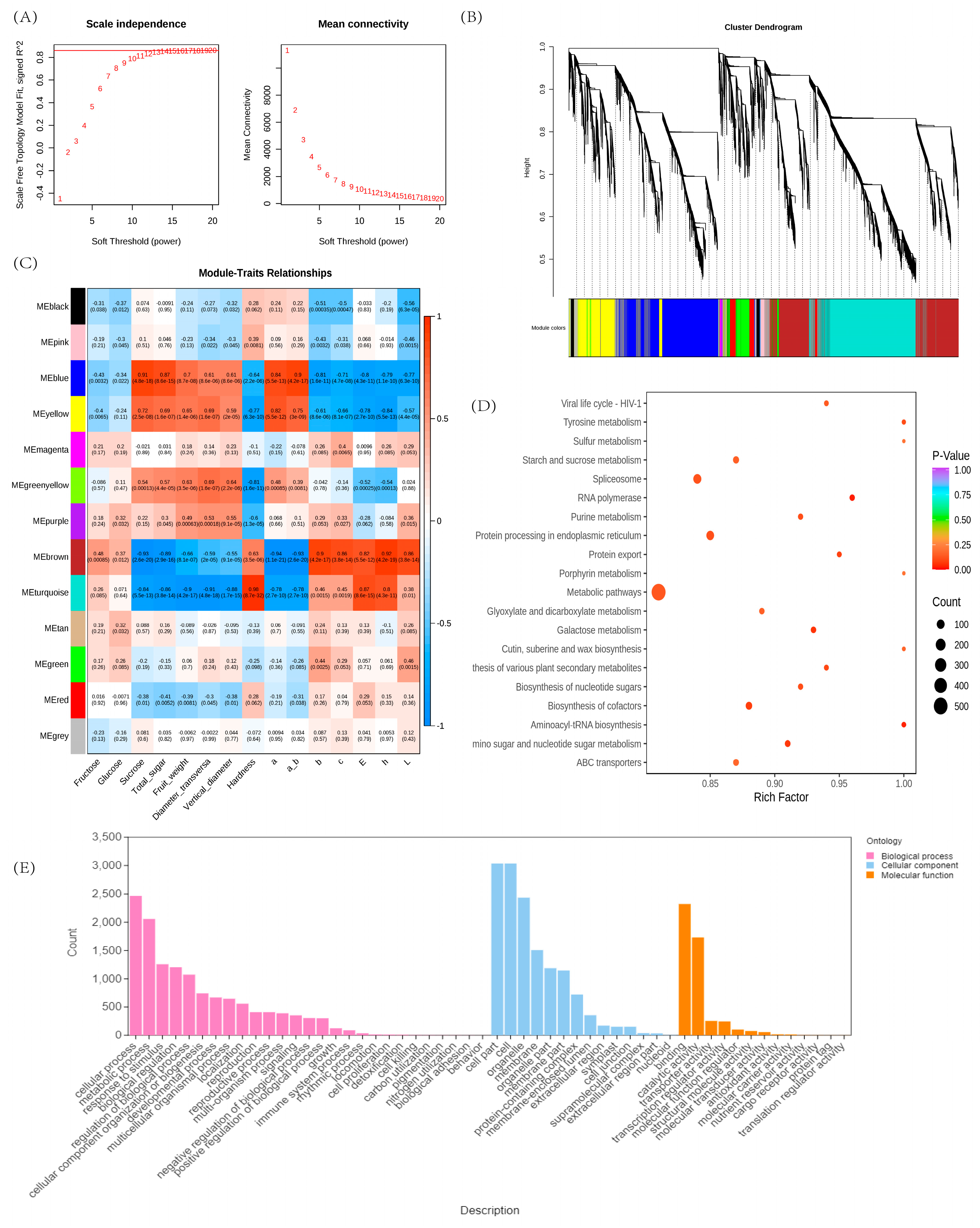 Agronomy 13 02243 g004