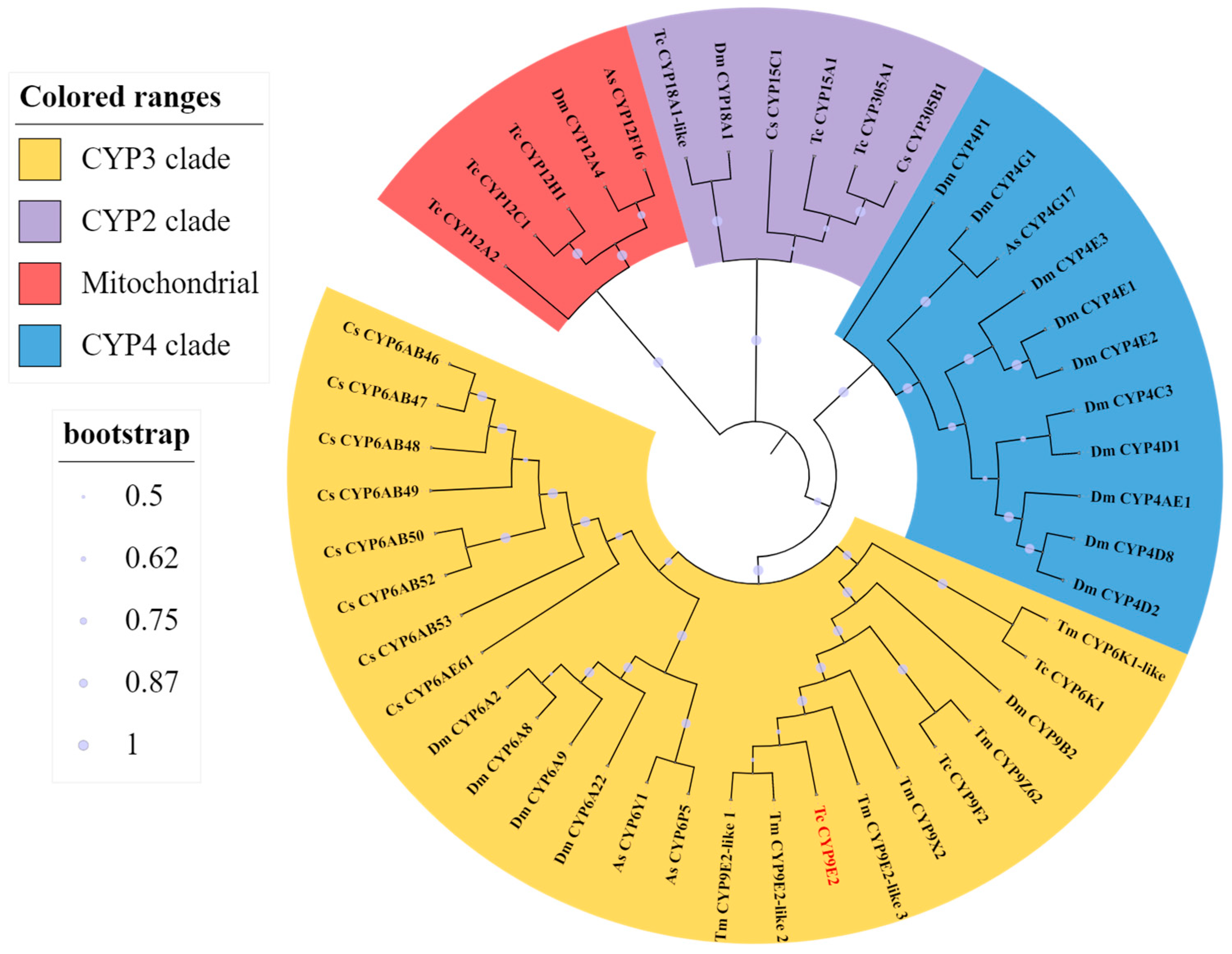 Agronomy 13 02263 g001 Agronomy 13 02263 g001