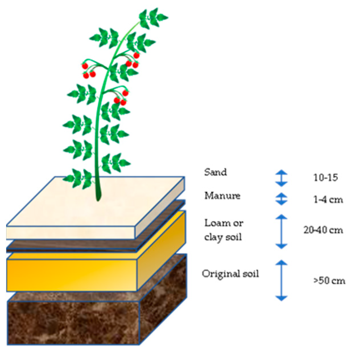 Agronomy 13 02286 g001 Agronomy 13 02286 g001