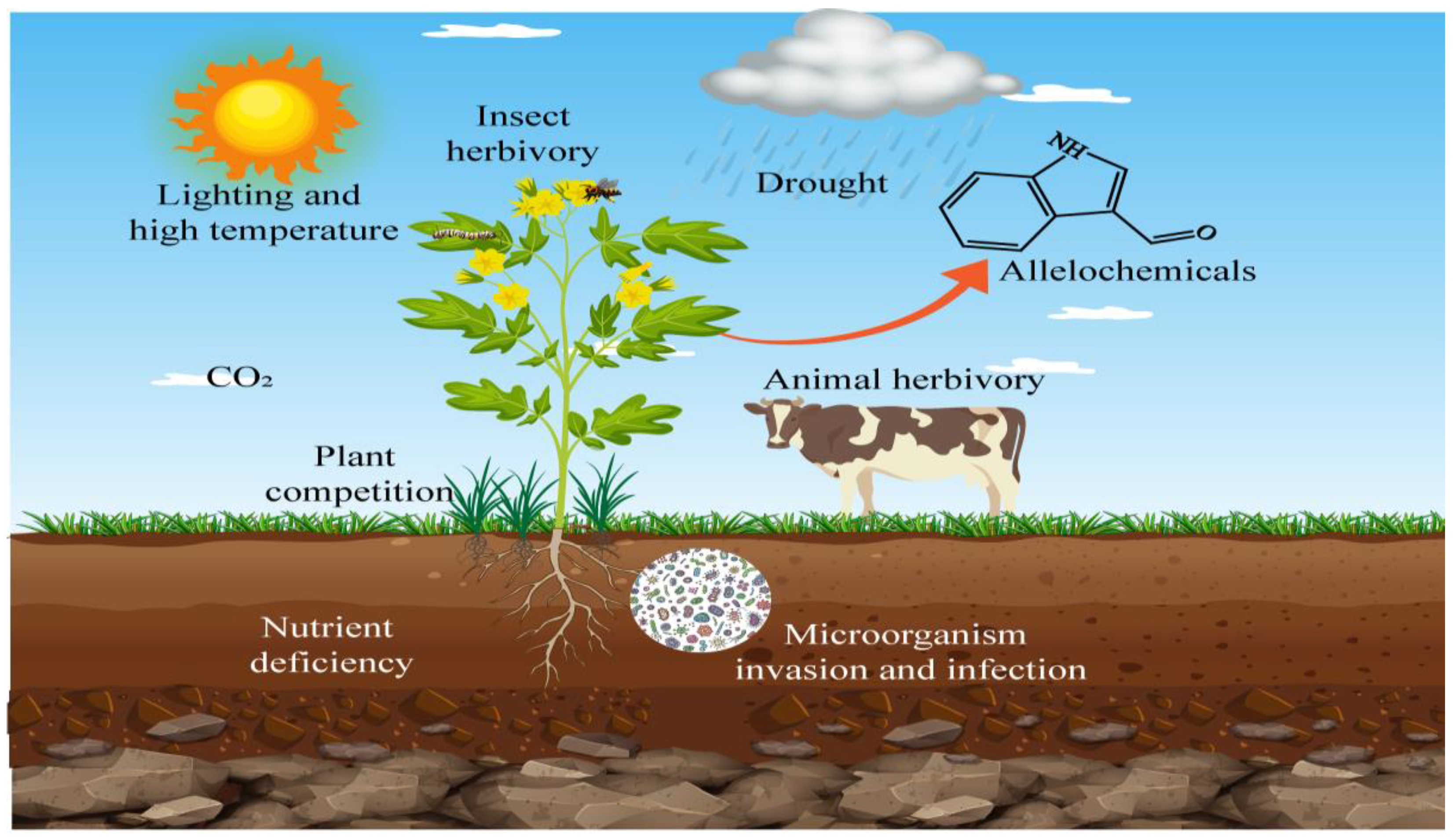 Agronomy 13 02358 g001 Agronomy 13 02358 g001