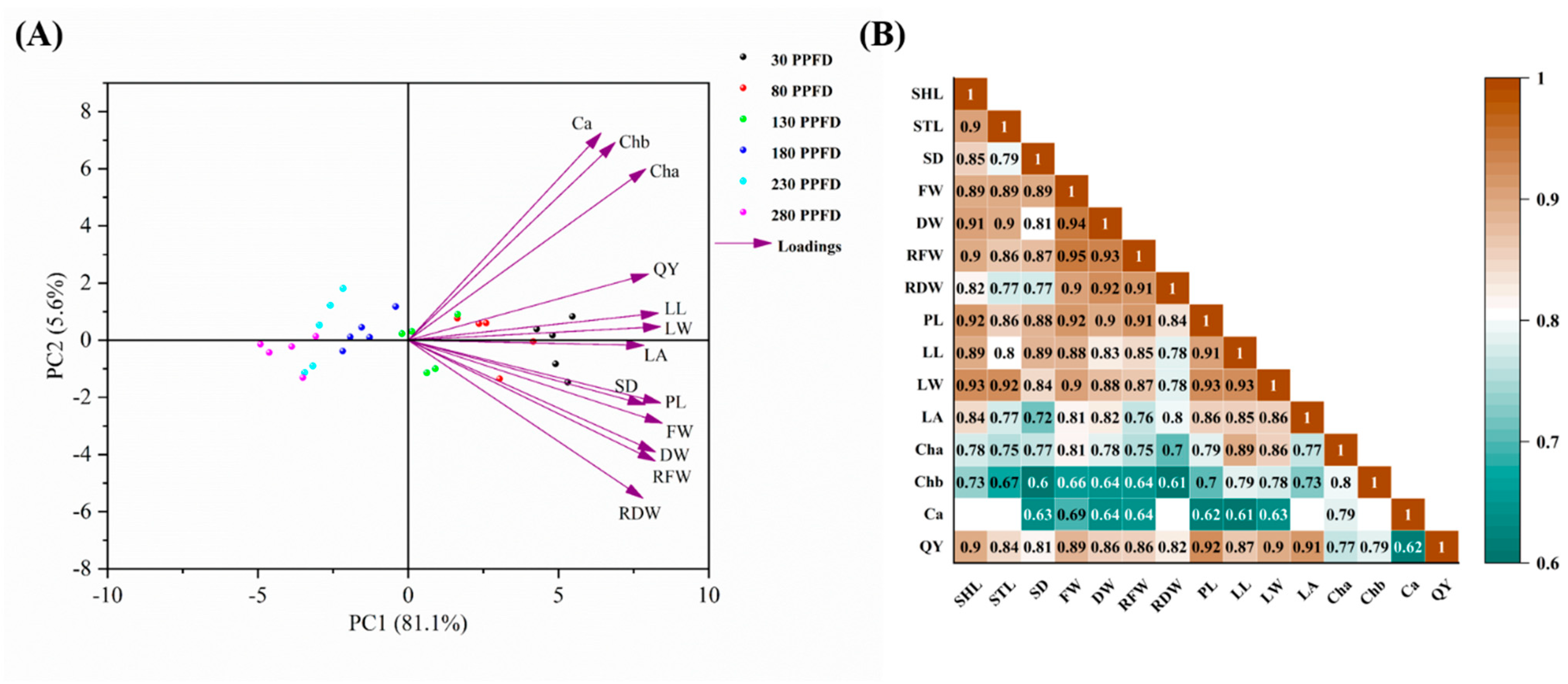 Agronomy 13 02375 g007 Agronomy 13 02375 g007