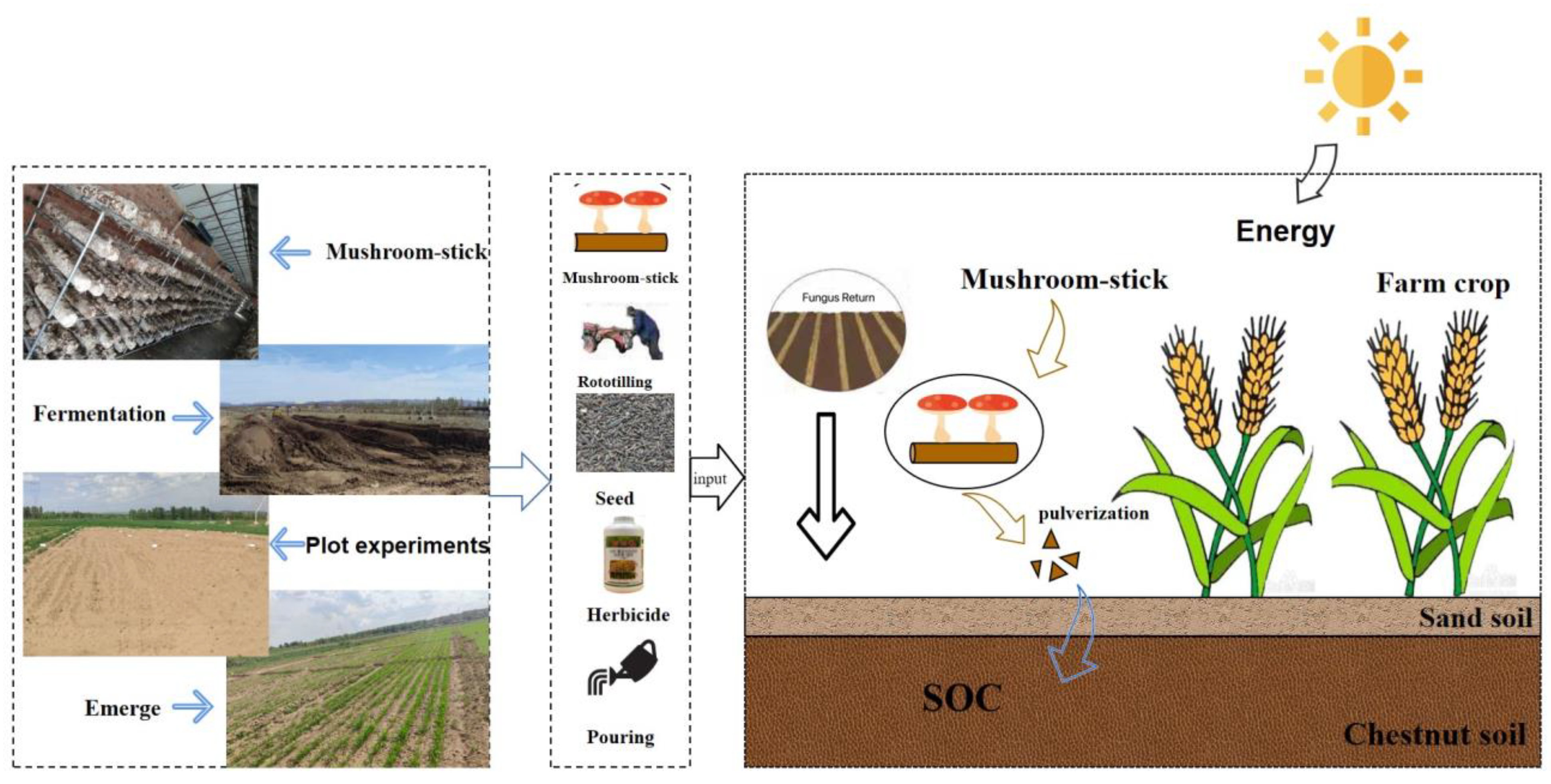 Agronomy 13 02432 g001 Agronomy 13 02432 g001