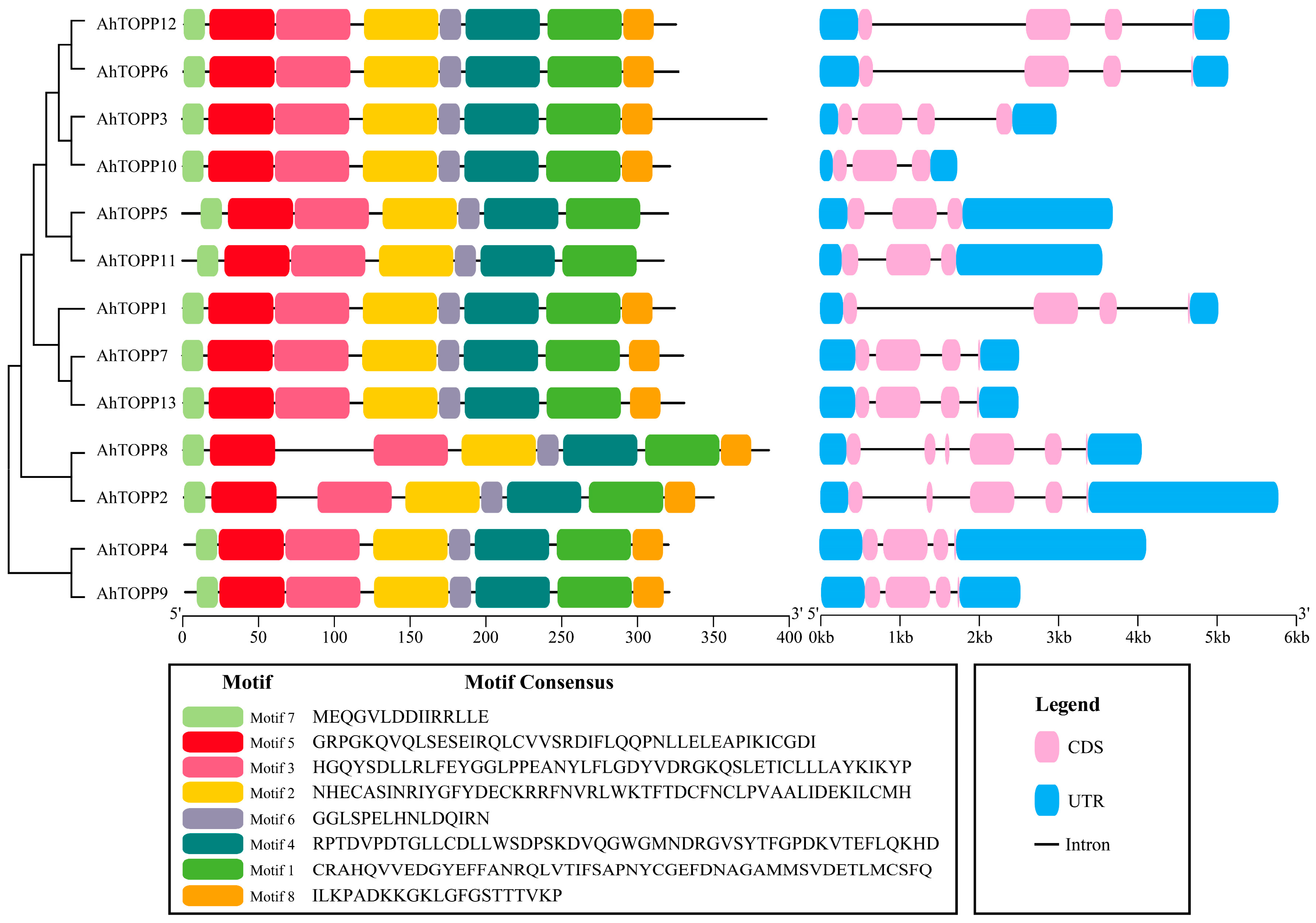 Agronomy 13 02444 g003