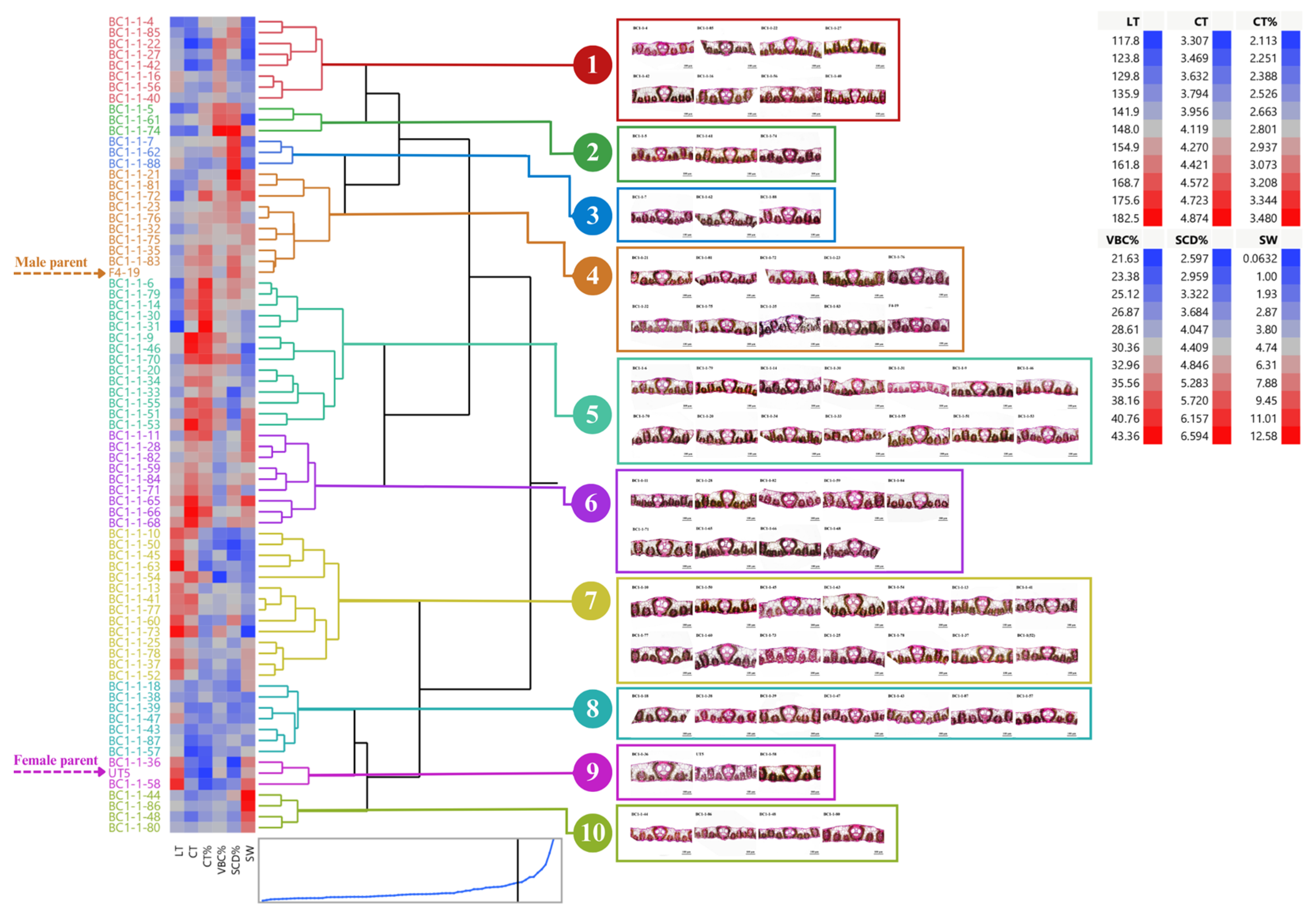 Agronomy 13 02457 g005