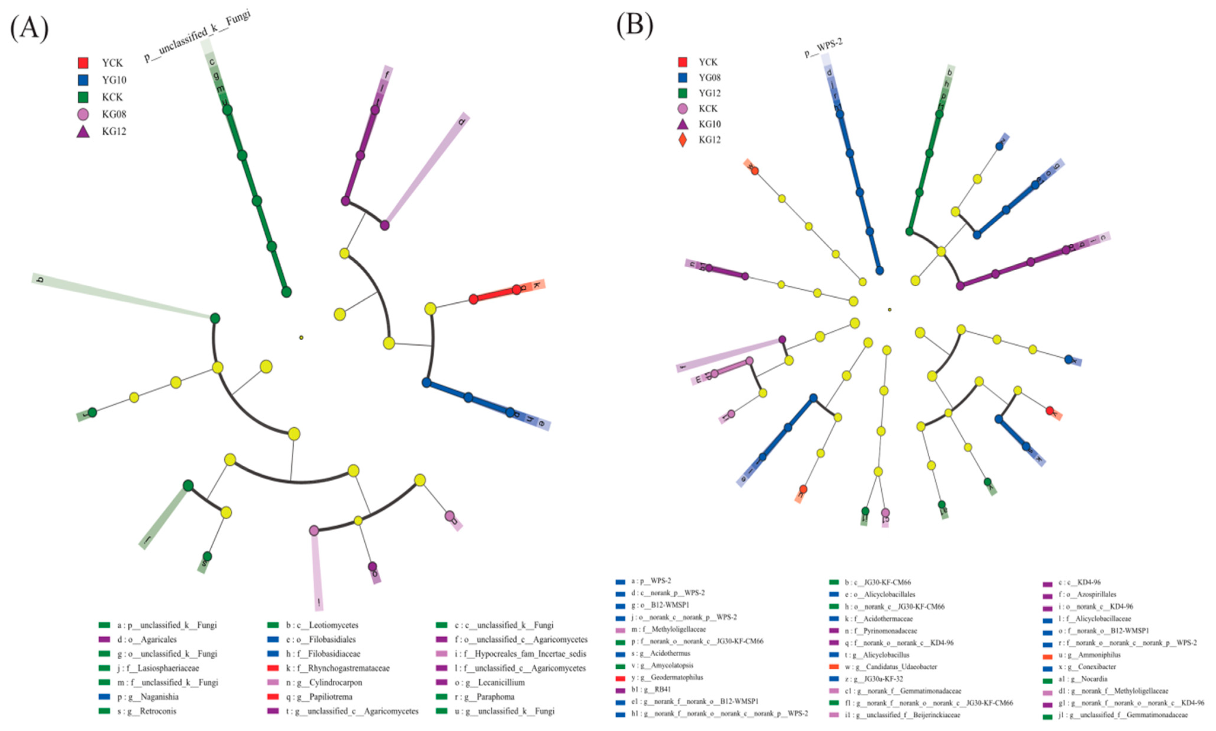 Agronomy 13 02458 g008