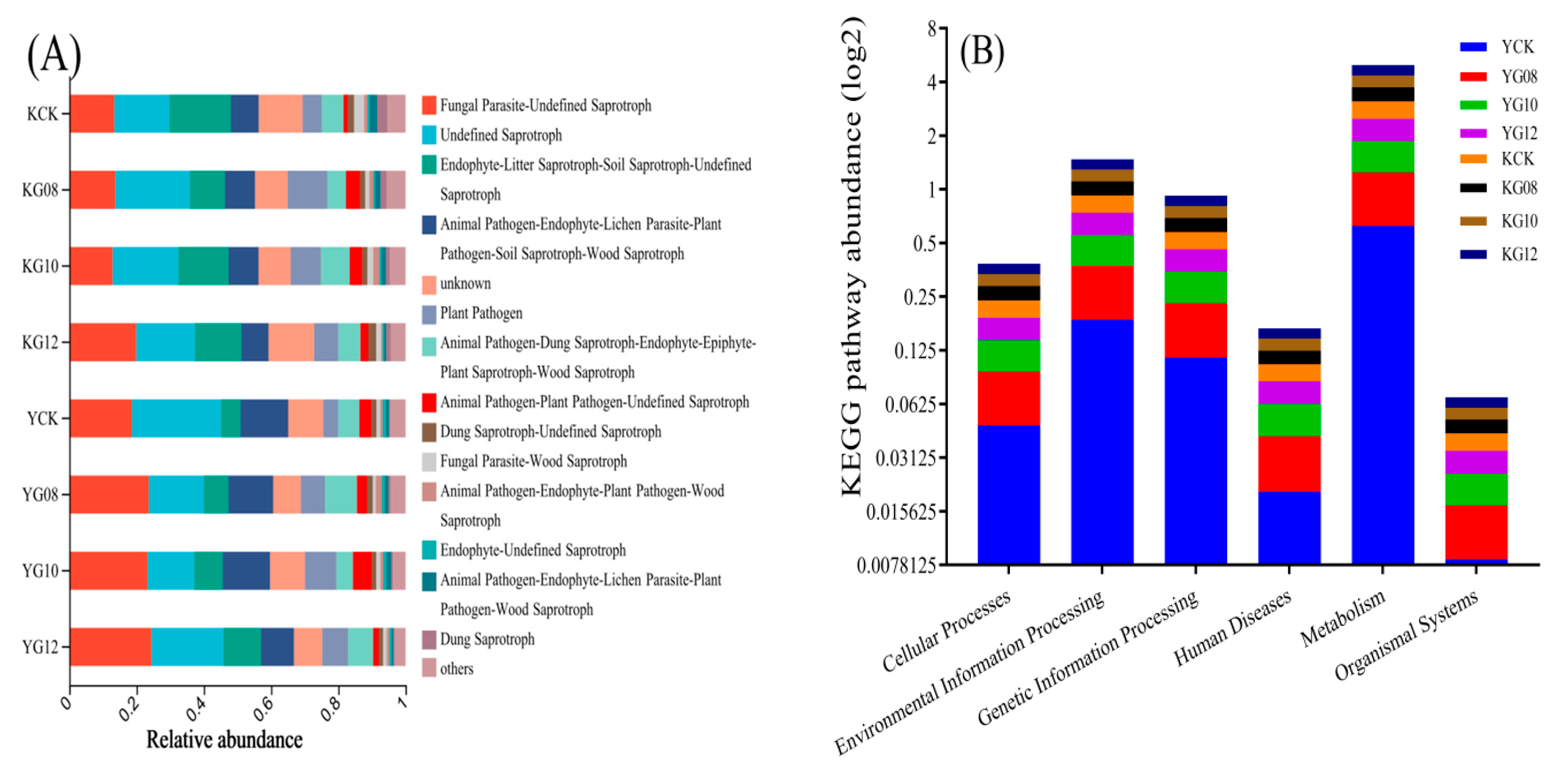 Agronomy 13 02458 g010