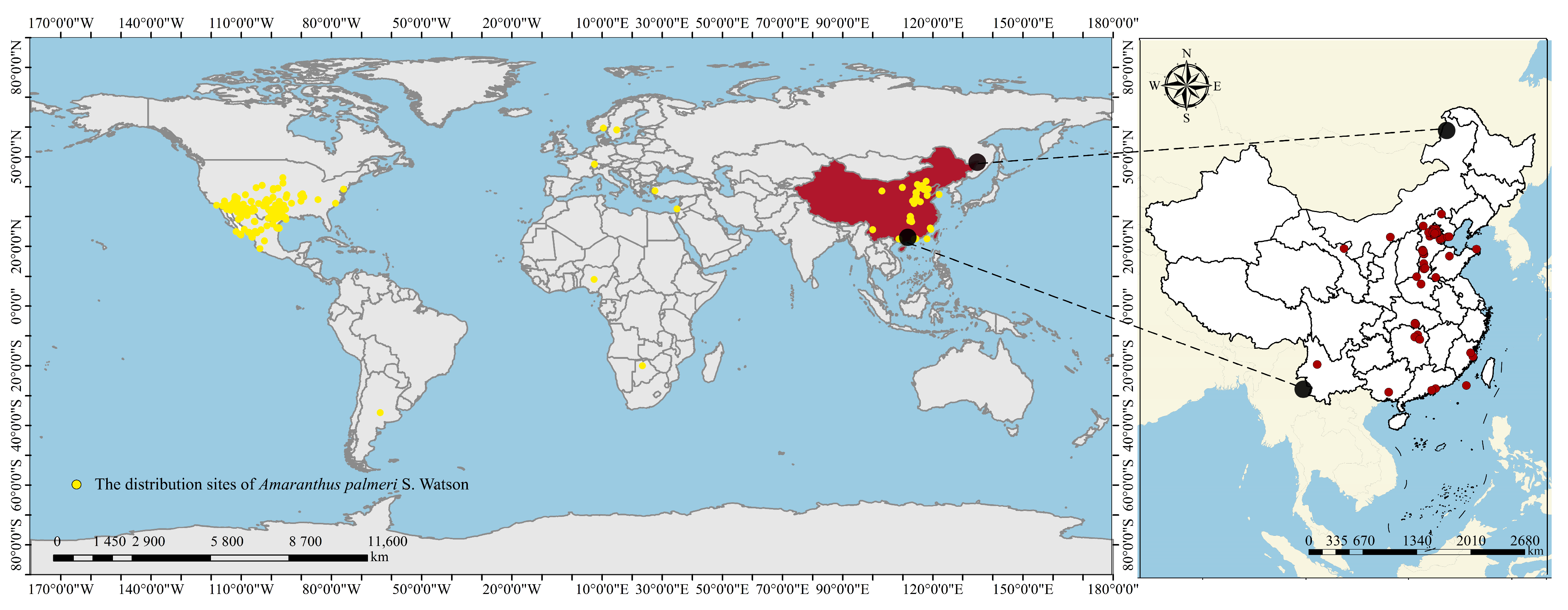 Agronomy 13 02498 g002