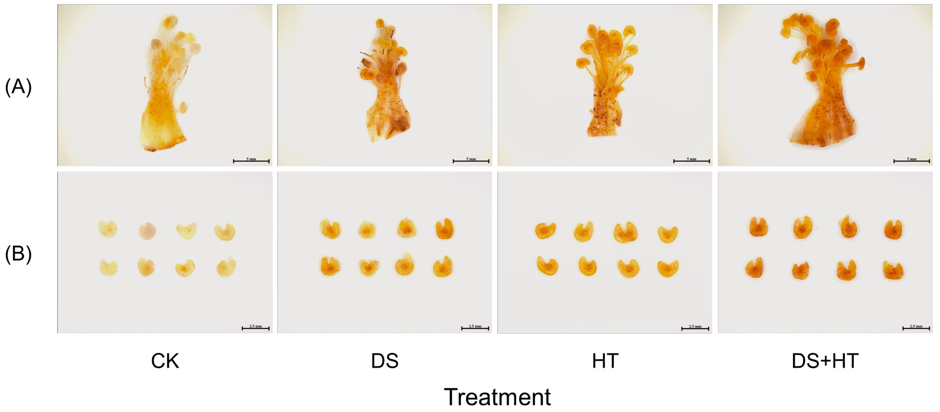 Agronomy 13 02550 g002