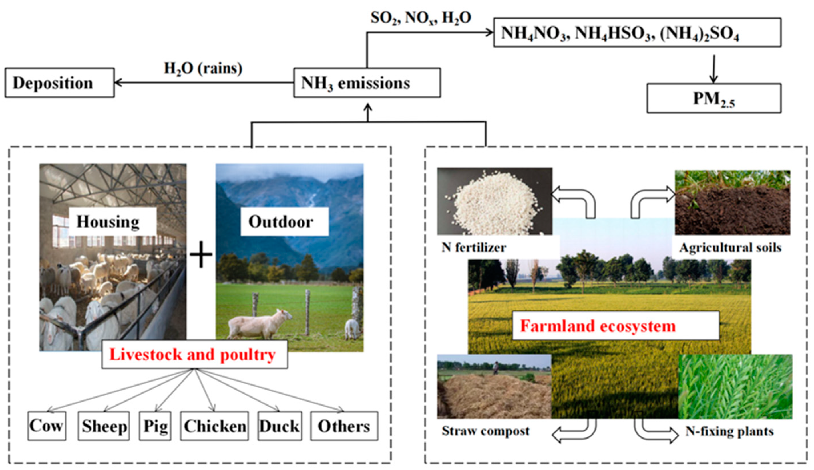 Agronomy 13 02555 g002