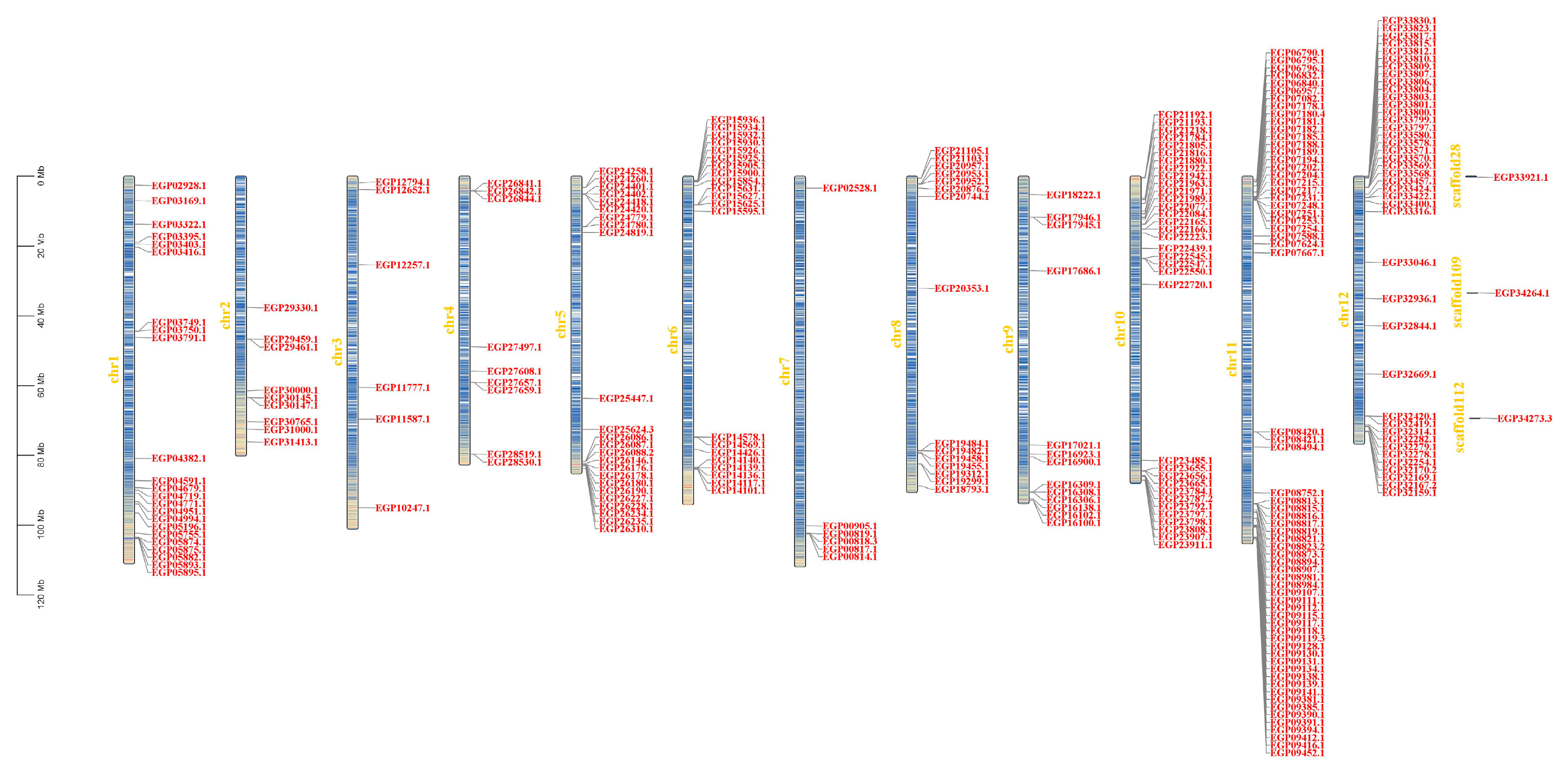 Agronomy 13 02583 g001