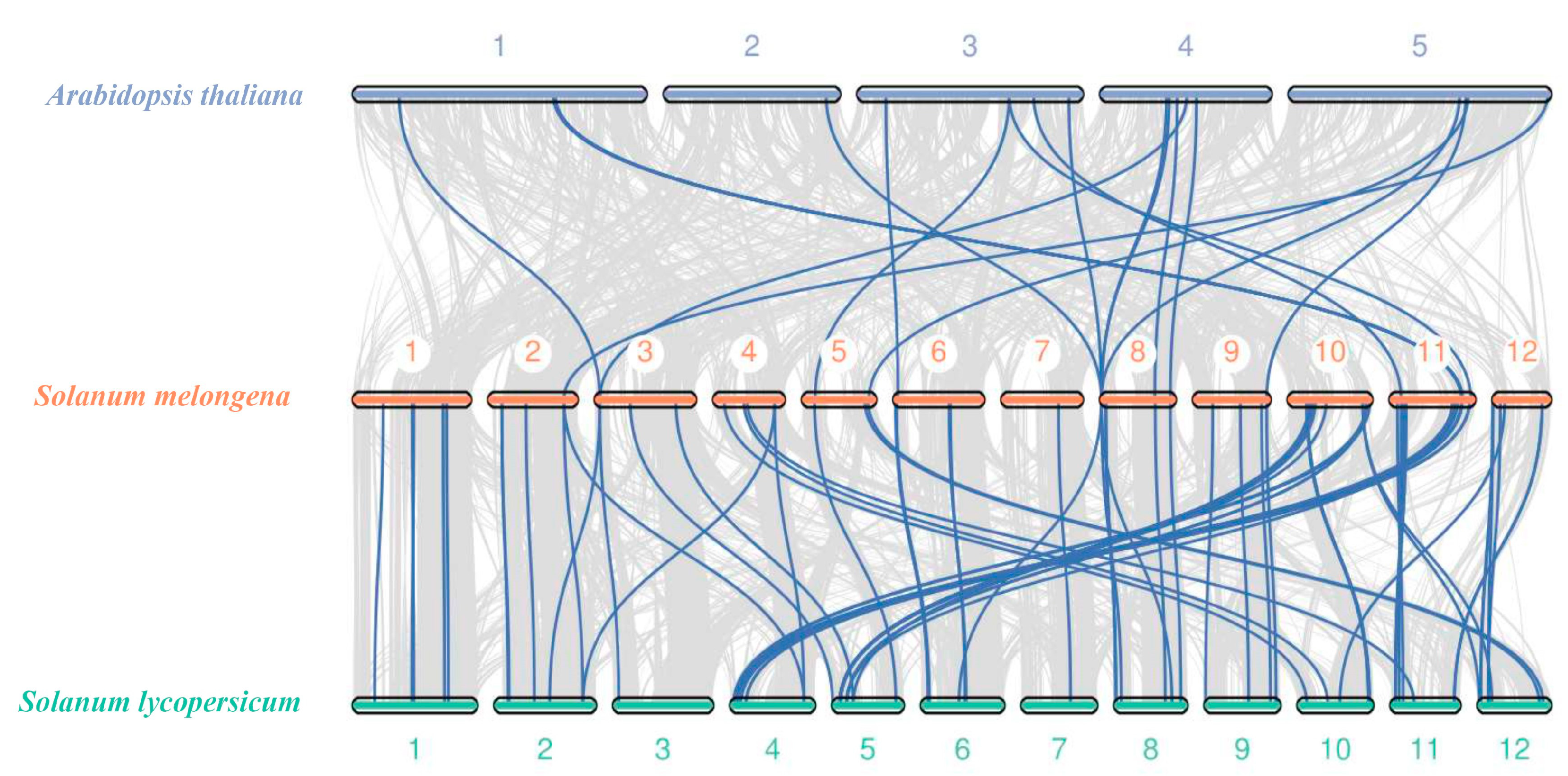Agronomy 13 02583 g004