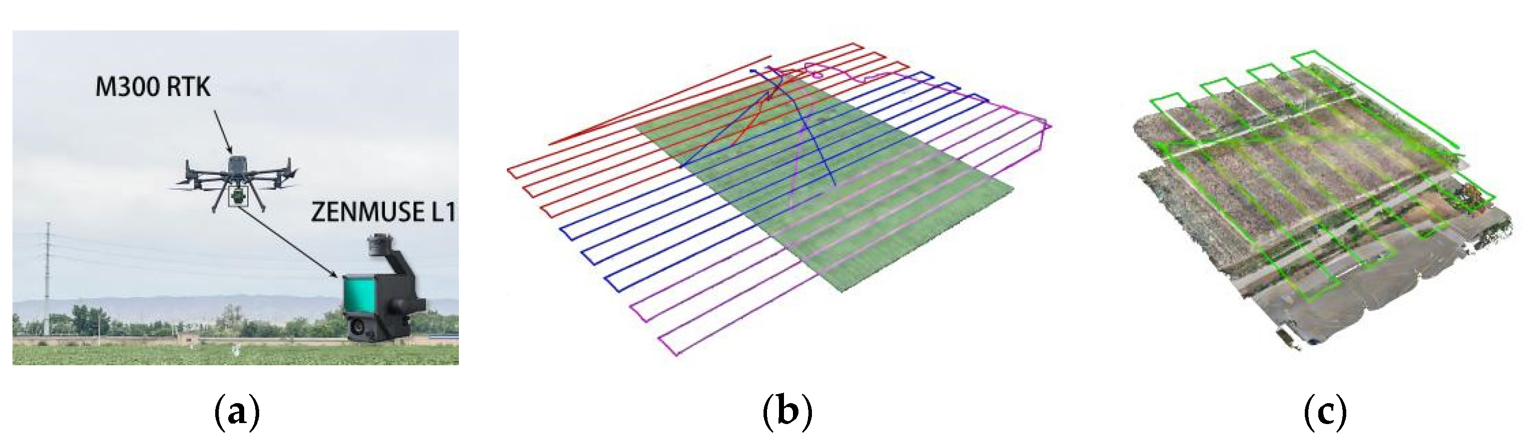 Agronomy 13 02584 g004