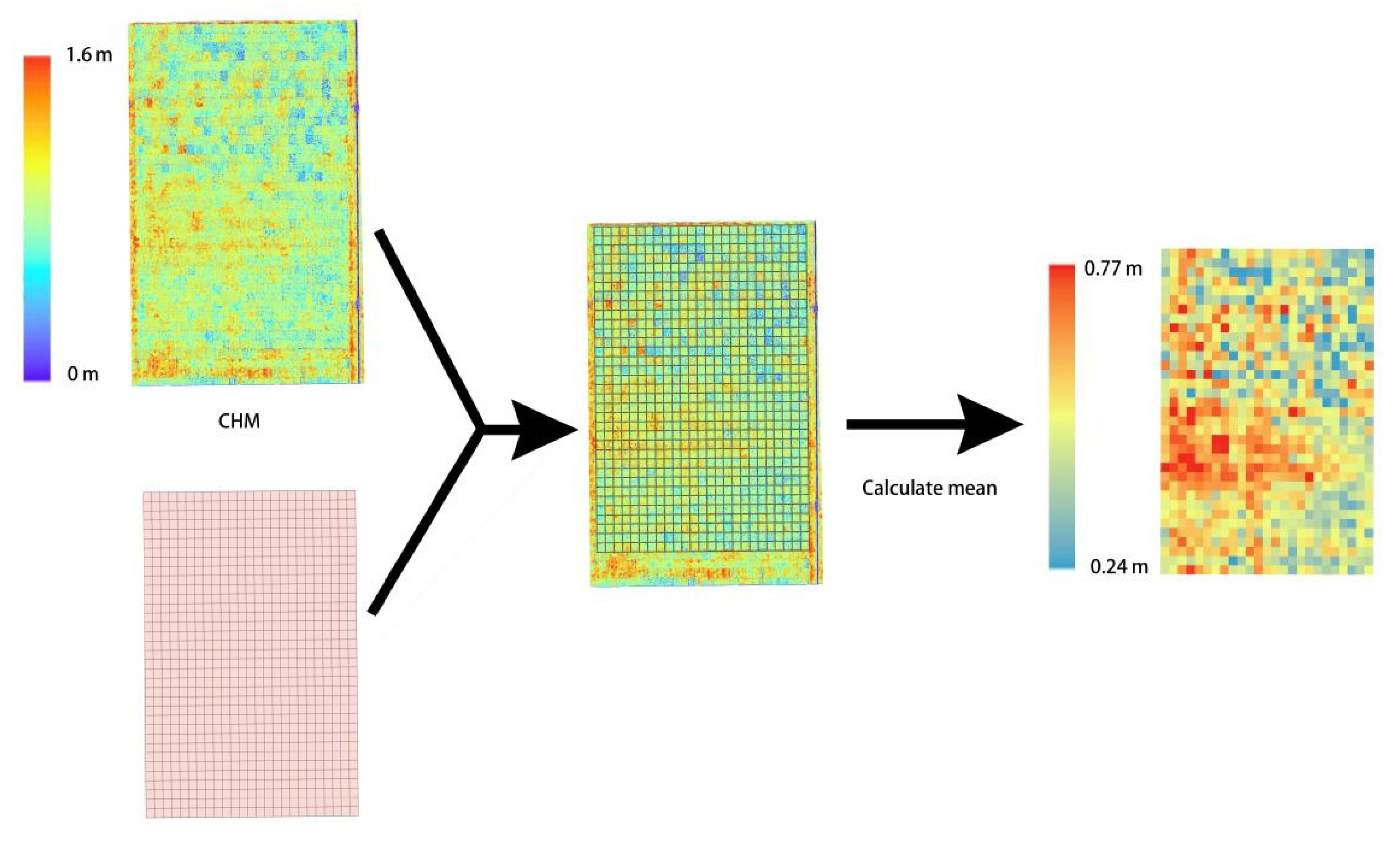 Agronomy 13 02584 g019
