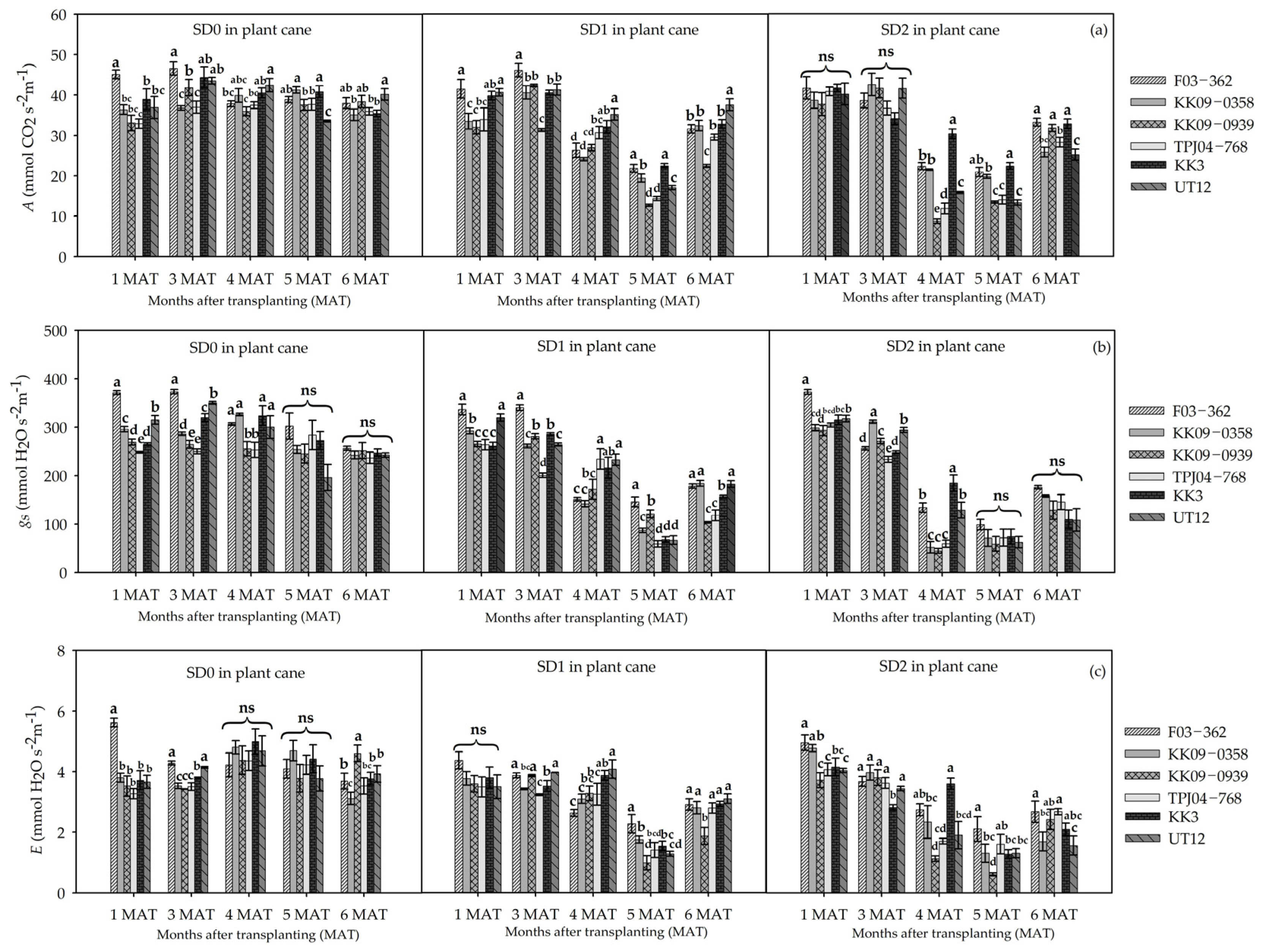 Agronomy 13 02594 g004a