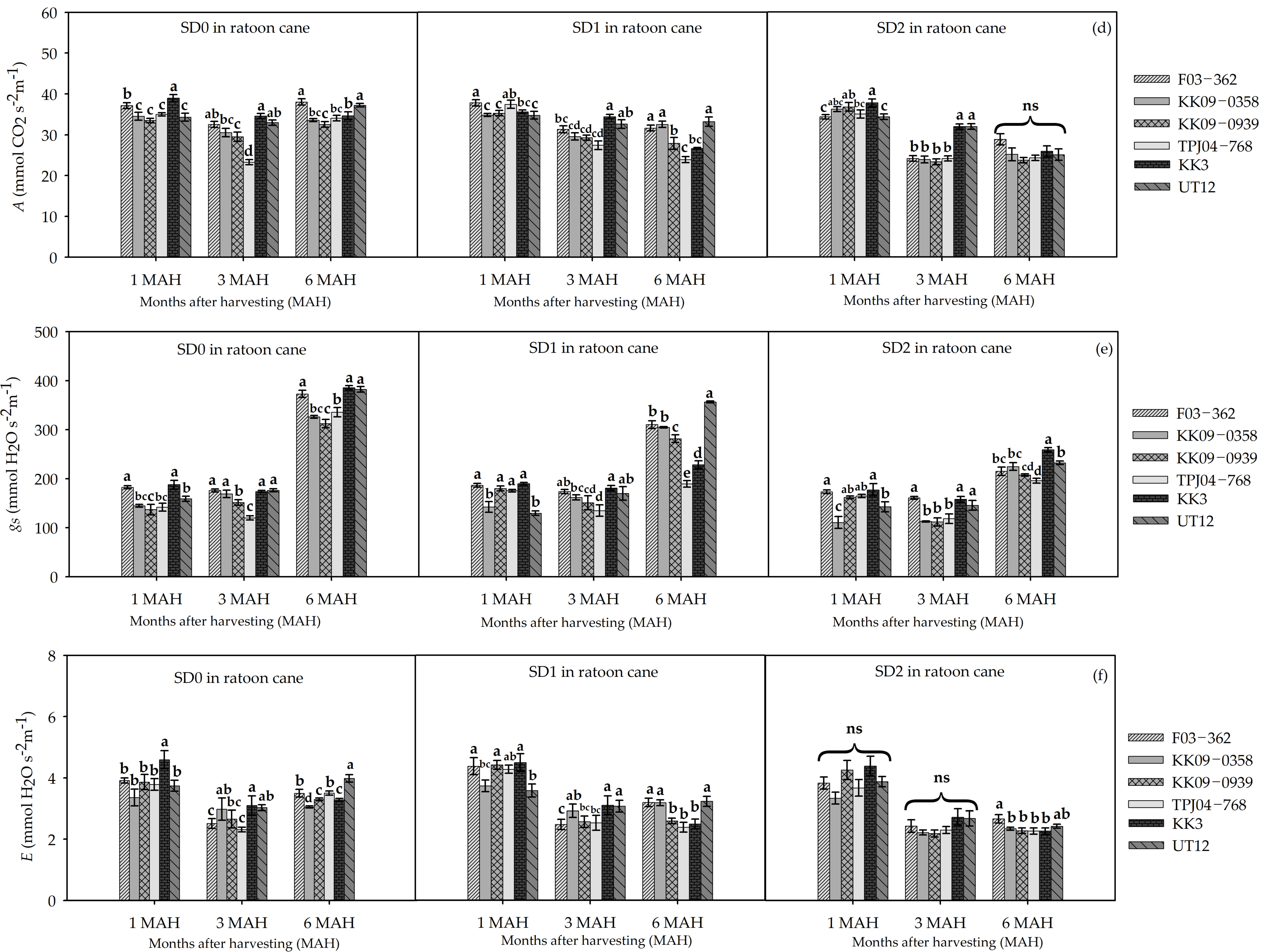 Agronomy 13 02594 g004b