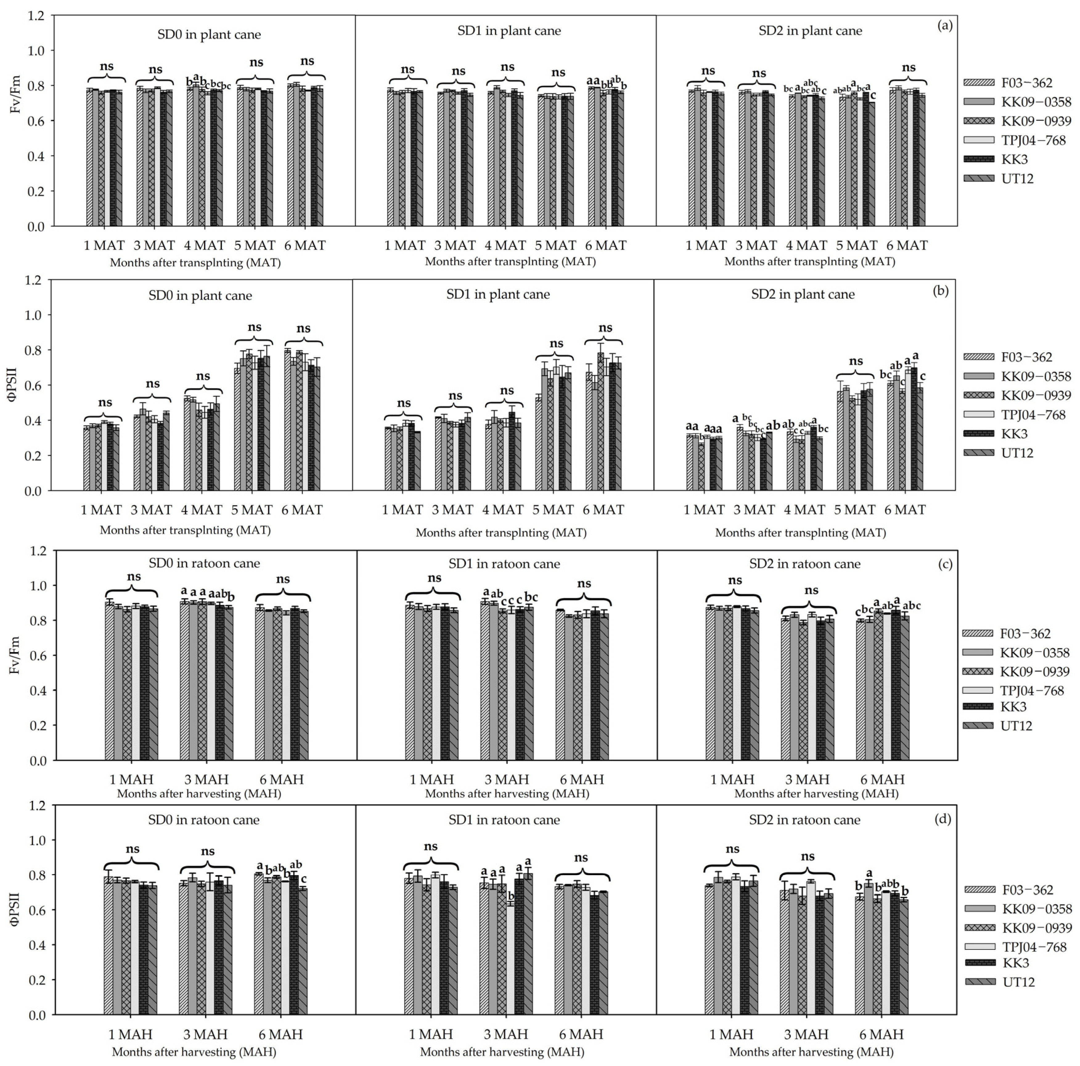 Agronomy 13 02594 g005