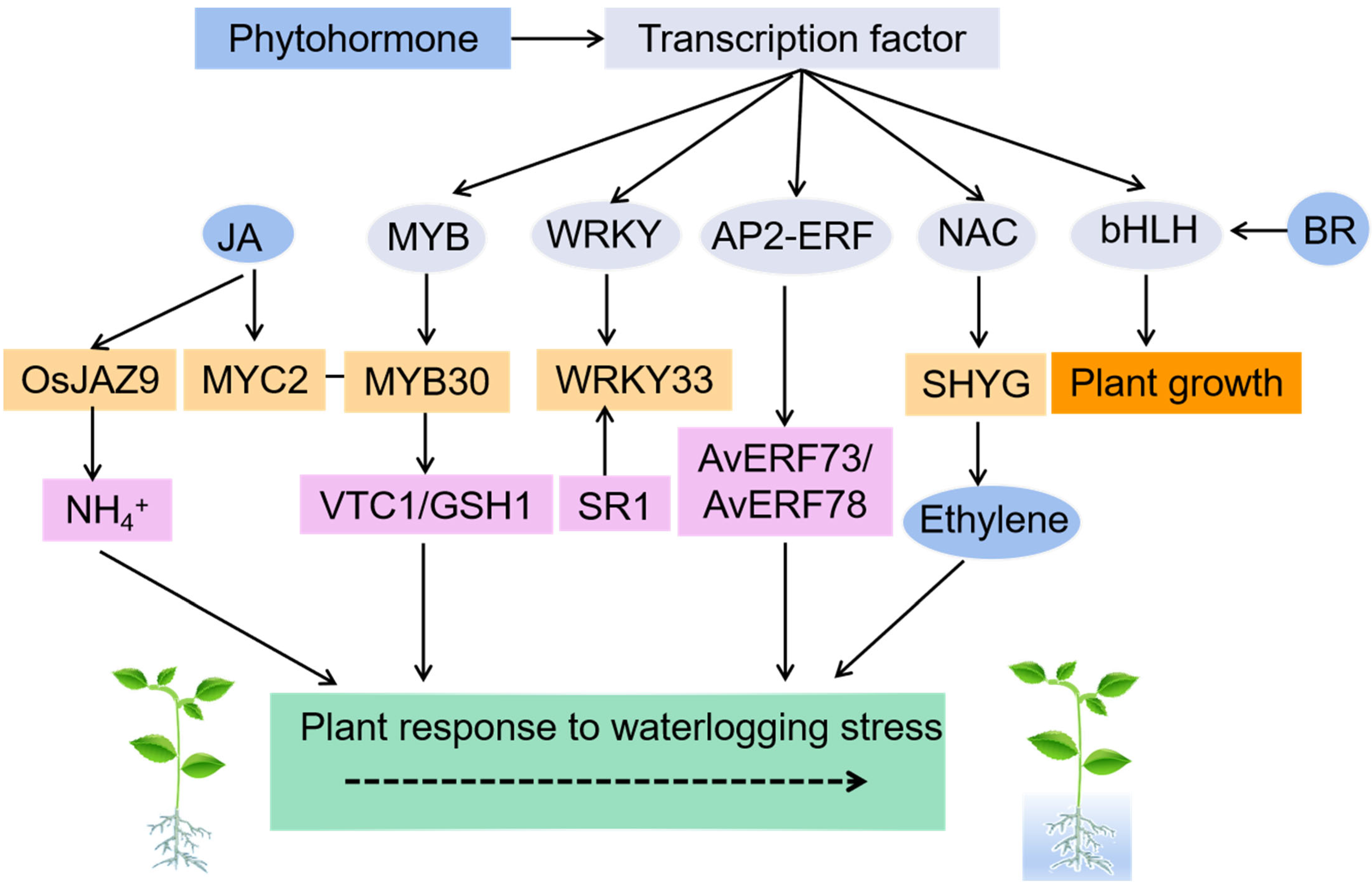 Agronomy 13 02599 g003