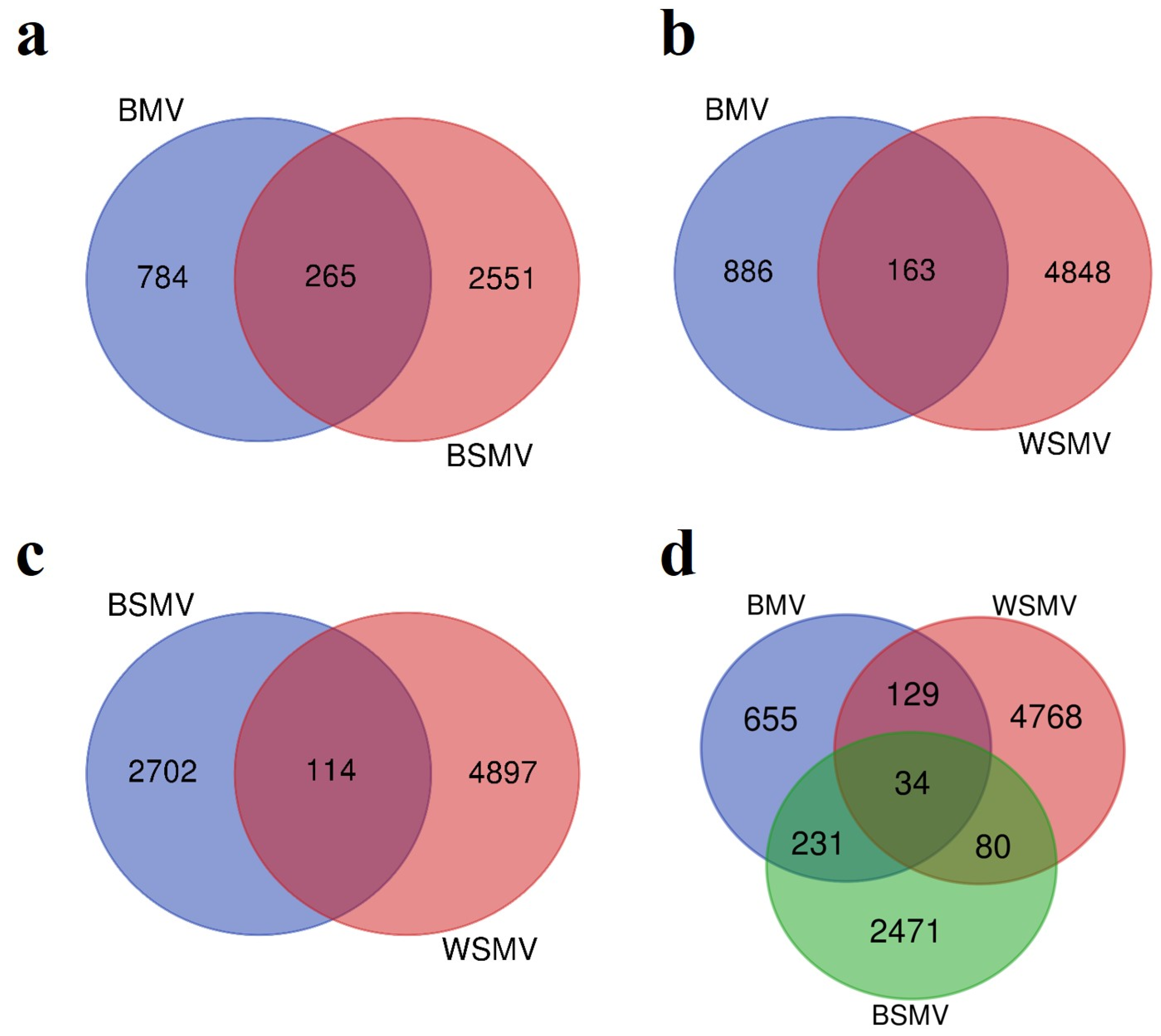 Agronomy 13 02610 g001 Agronomy 13 02610 g001