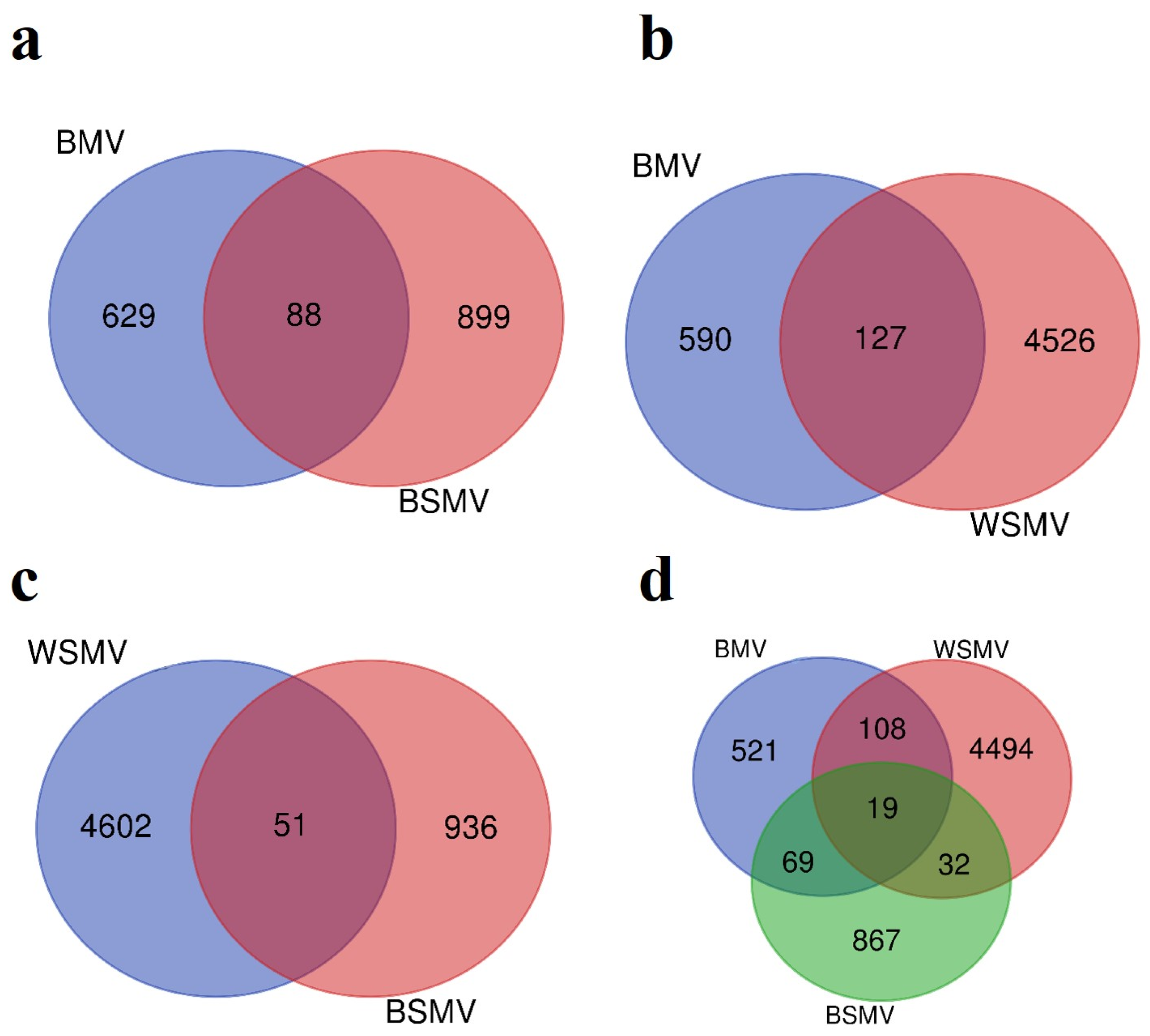 Agronomy 13 02610 g002 Agronomy 13 02610 g002