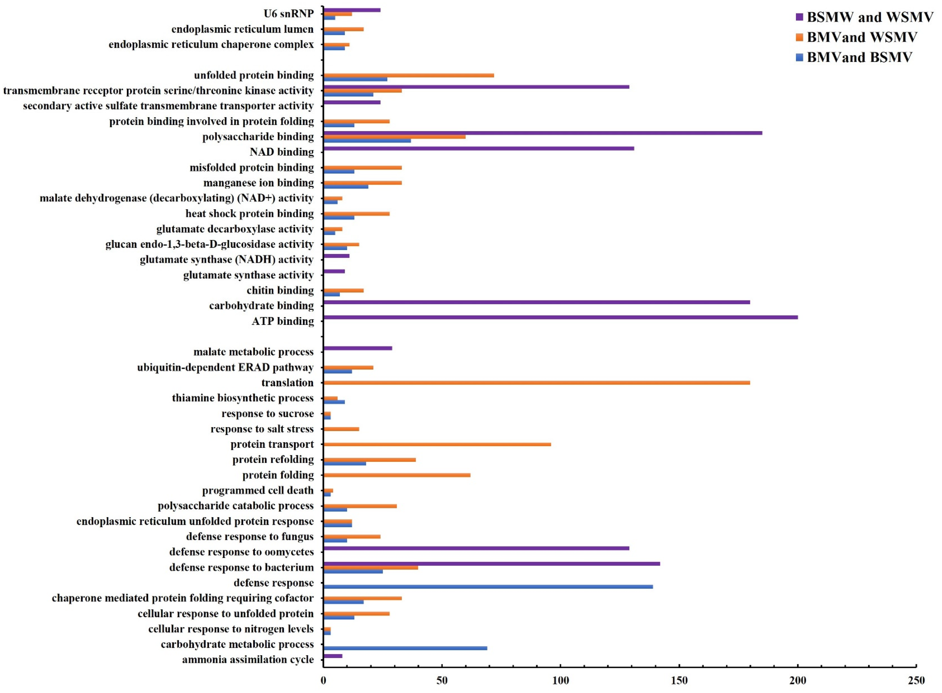 Agronomy 13 02610 g004 Agronomy 13 02610 g004