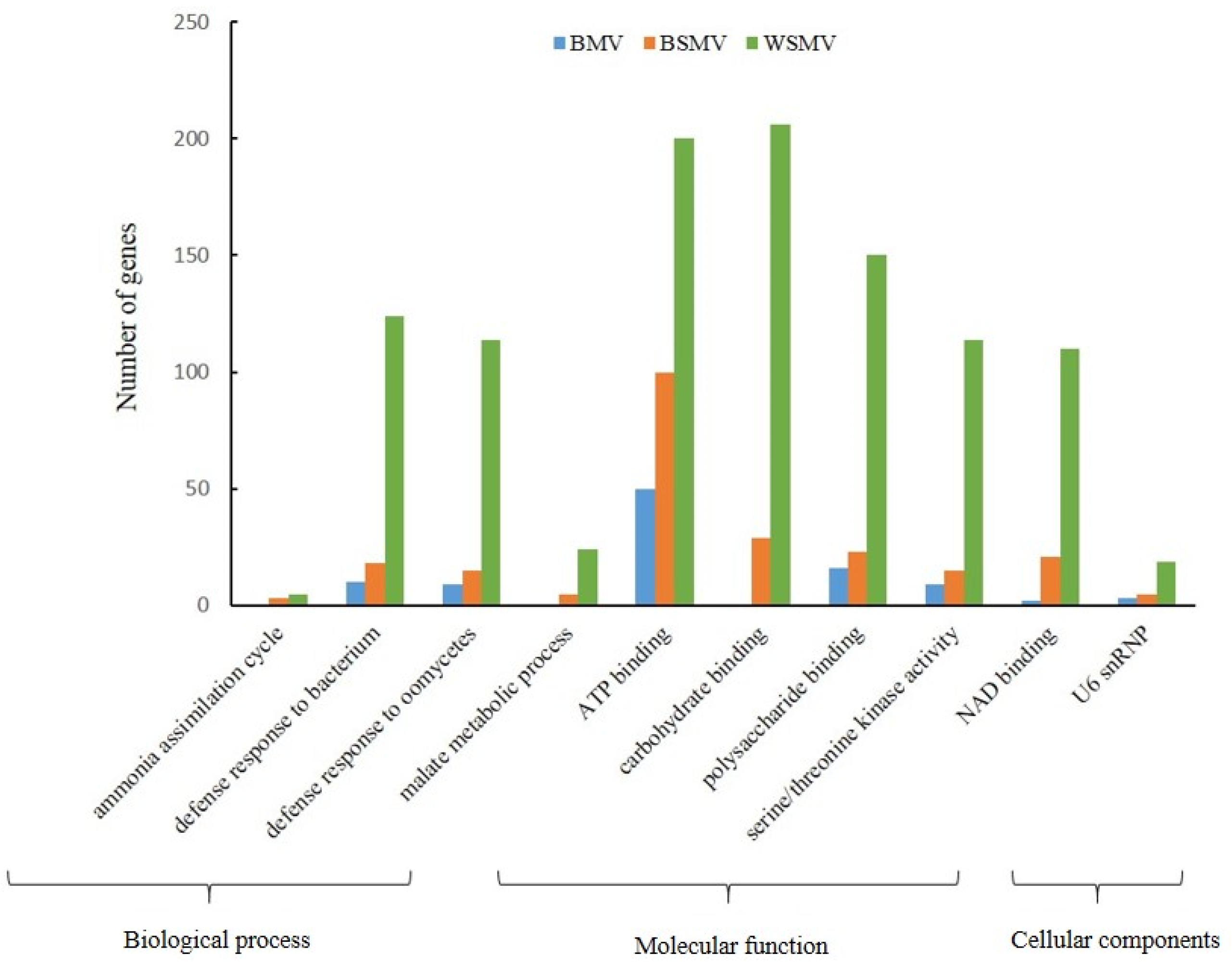 Agronomy 13 02610 g005 Agronomy 13 02610 g005