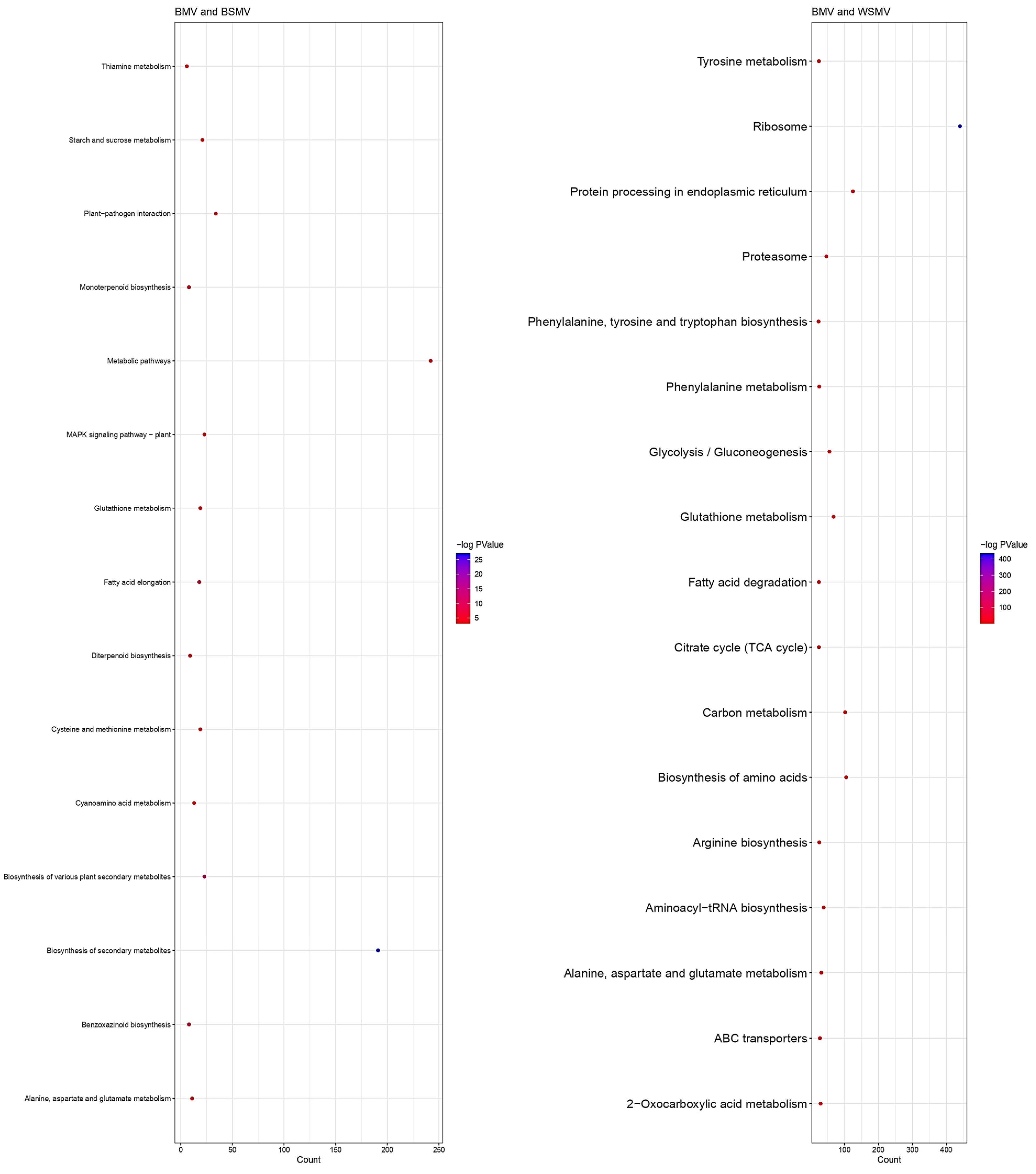 Agronomy 13 02610 g006 Agronomy 13 02610 g006