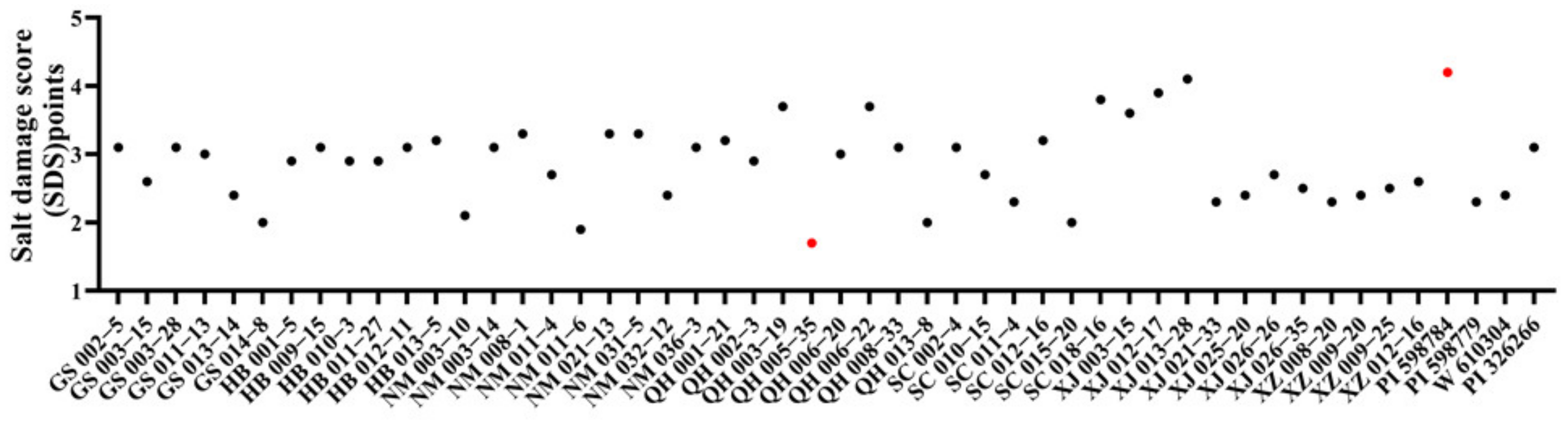 Agronomy 13 02675 g003