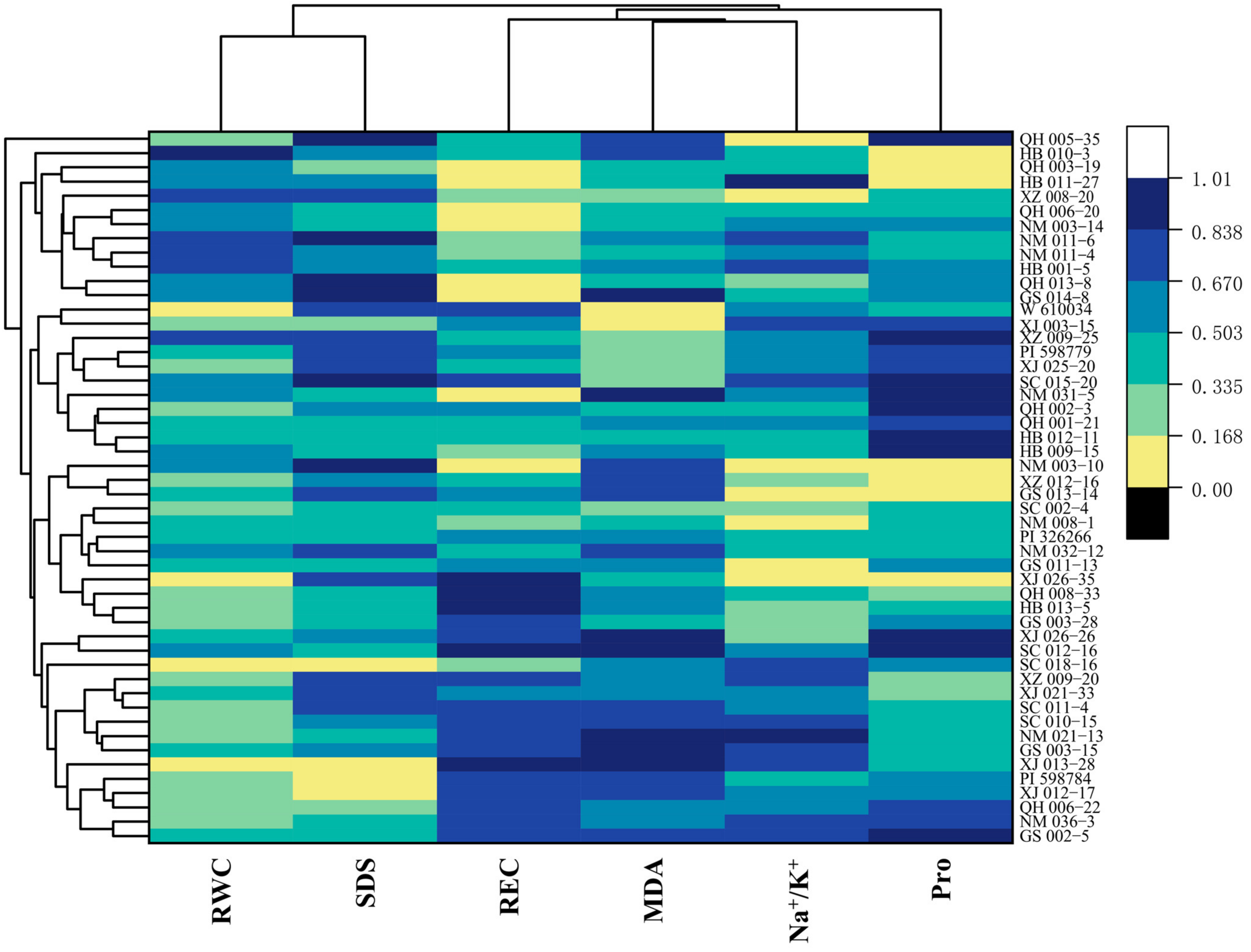 Agronomy 13 02675 g007
