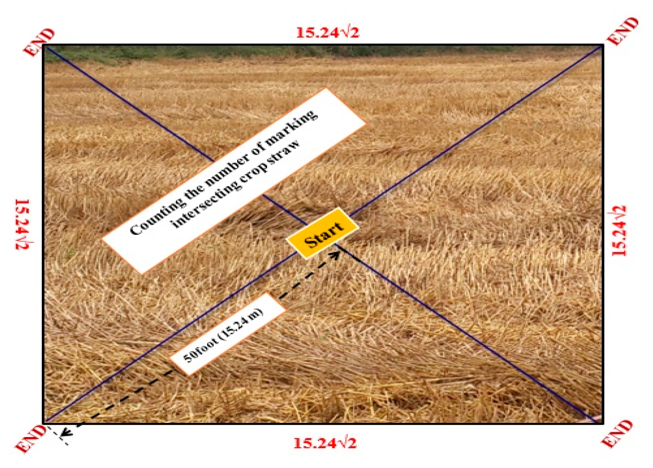 Agronomy 13 02691 g002