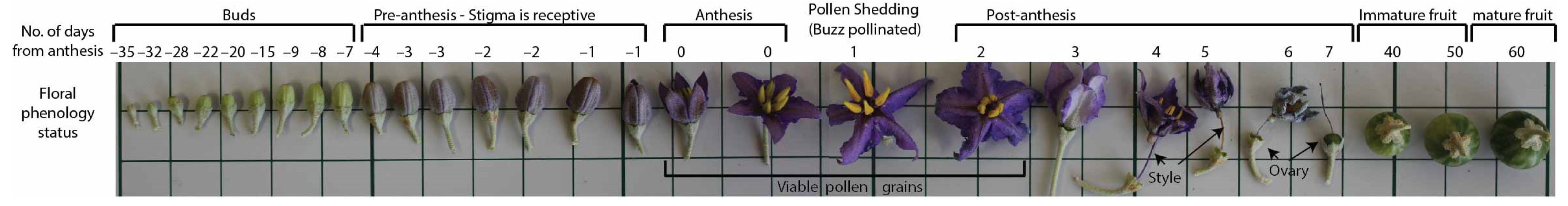 Agronomy 13 02701 g006 Agronomy 13 02701 g006