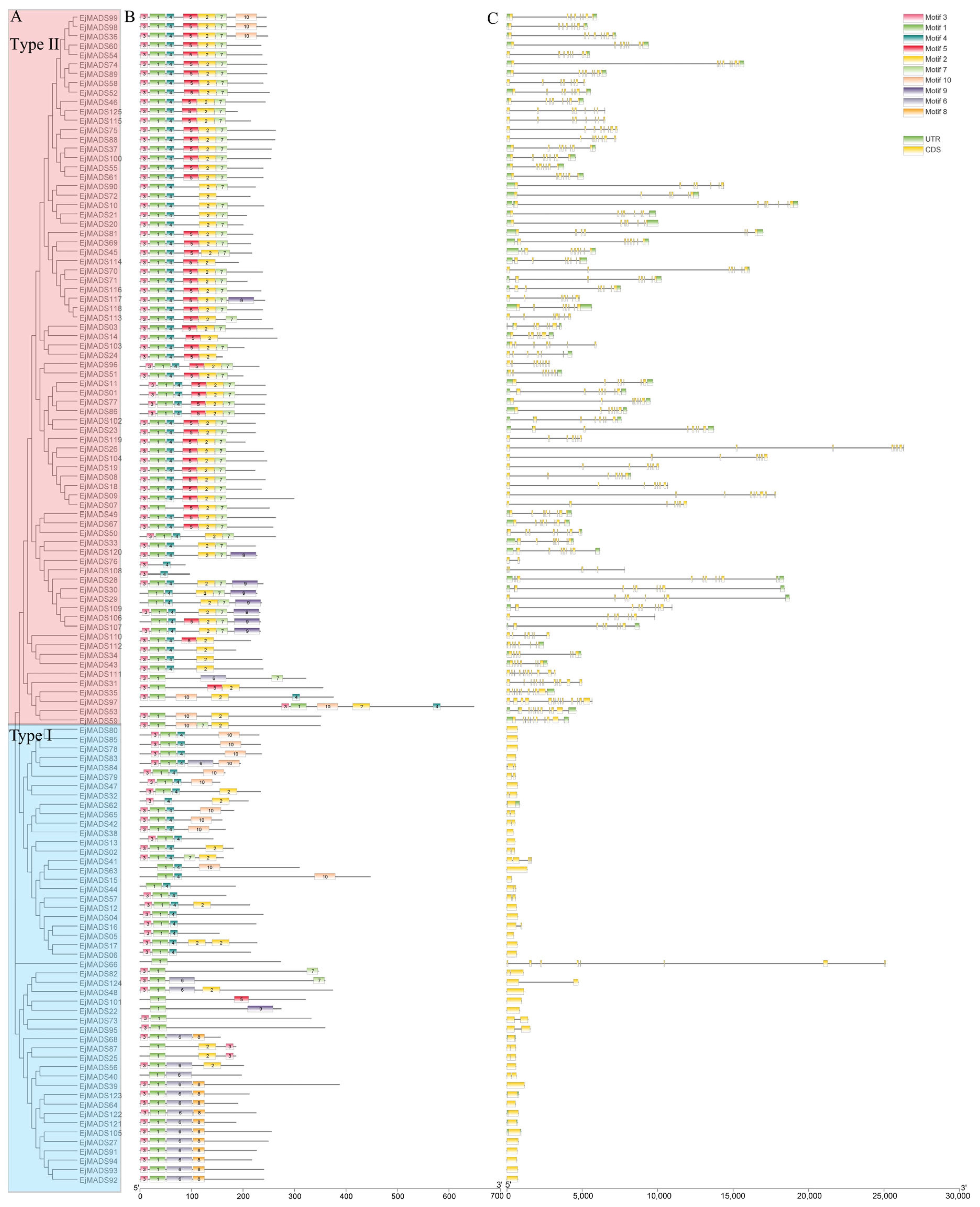 Agronomy 13 02709 g004