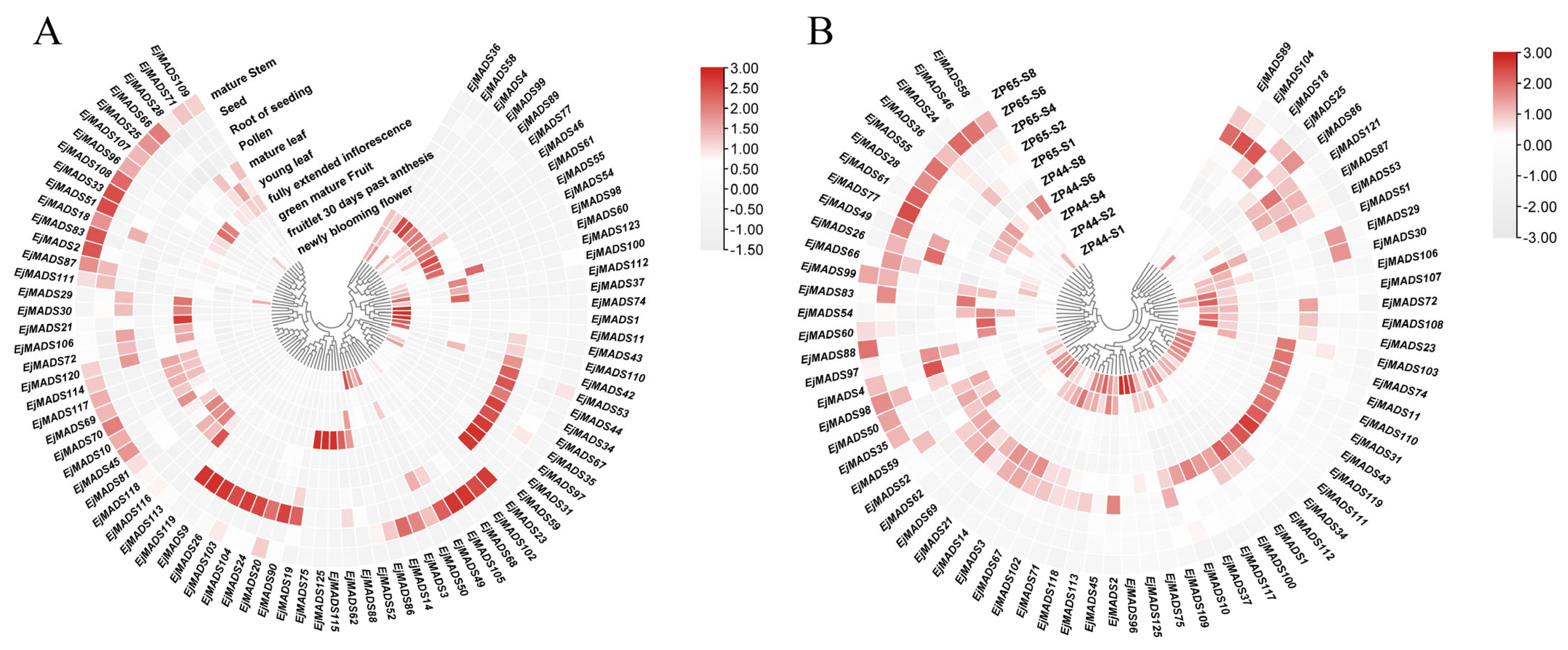 Agronomy 13 02709 g006