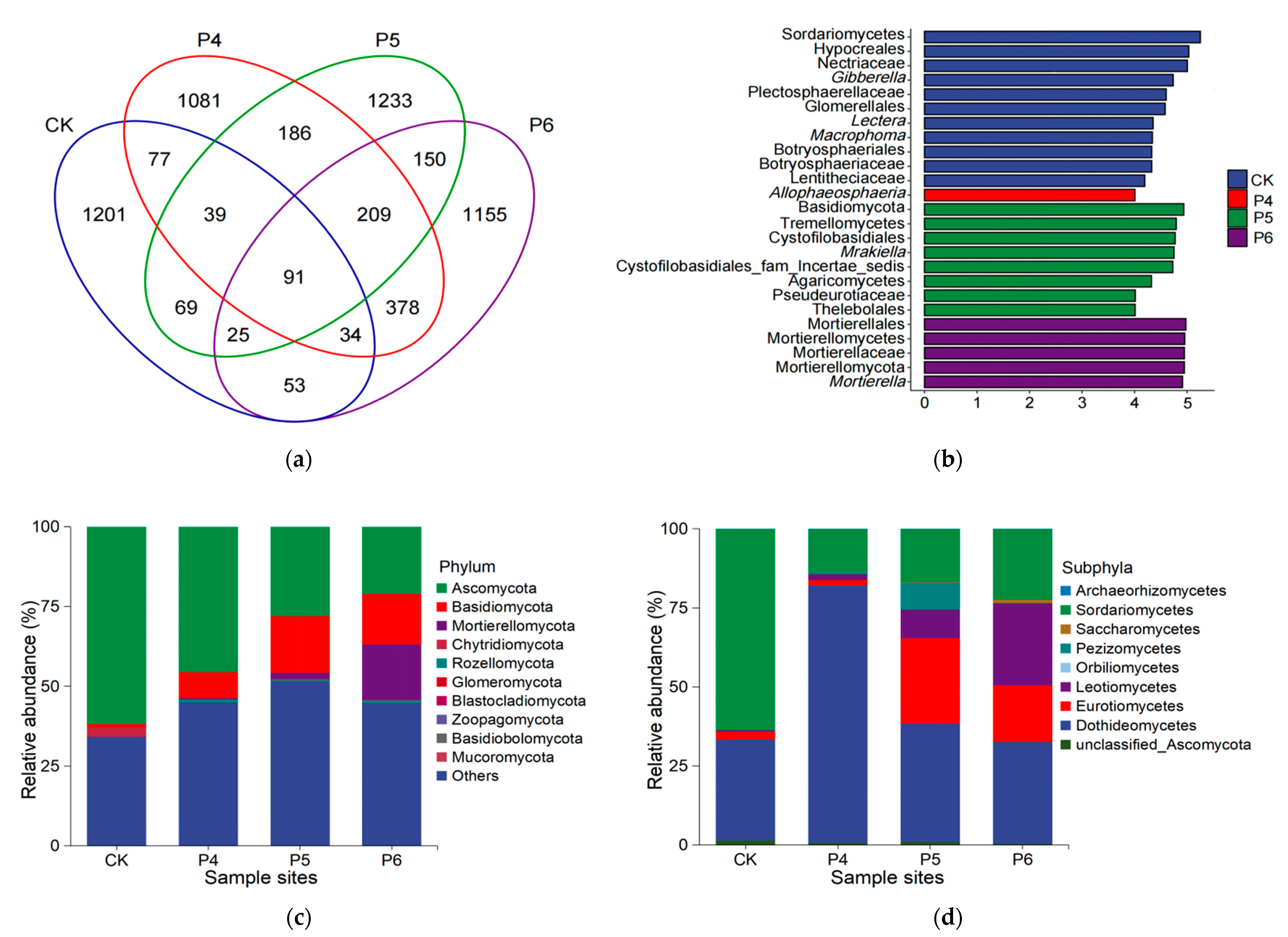 Agronomy 13 02726 g001