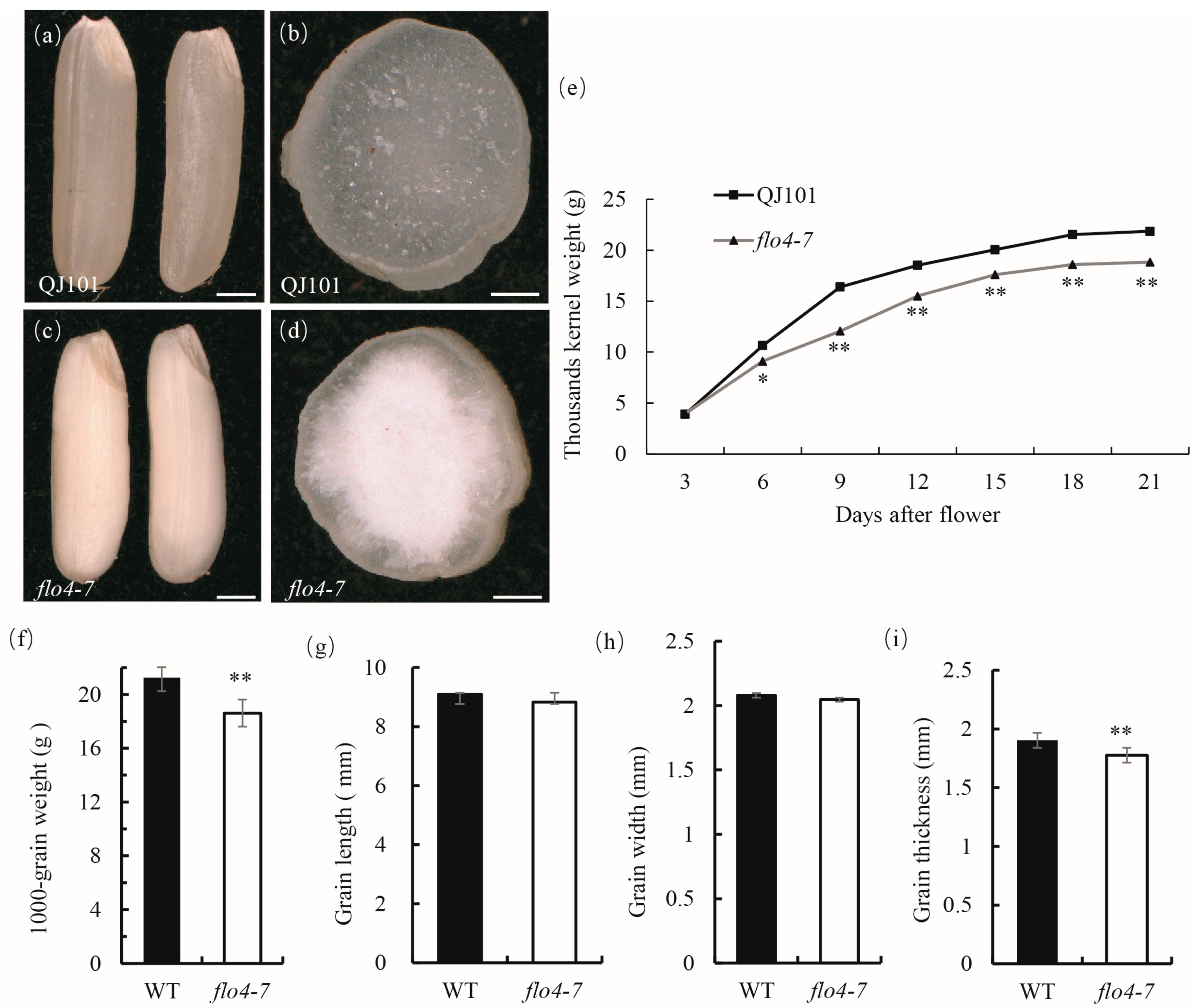 Agronomy 13 02759 g001