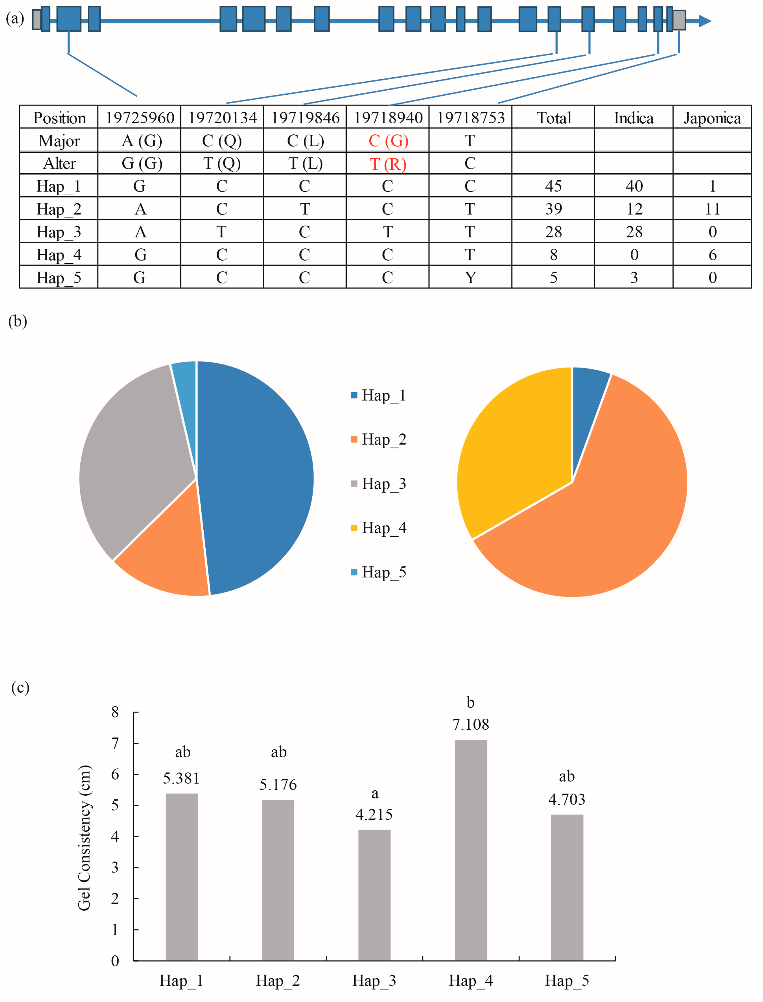 Agronomy 13 02759 g006