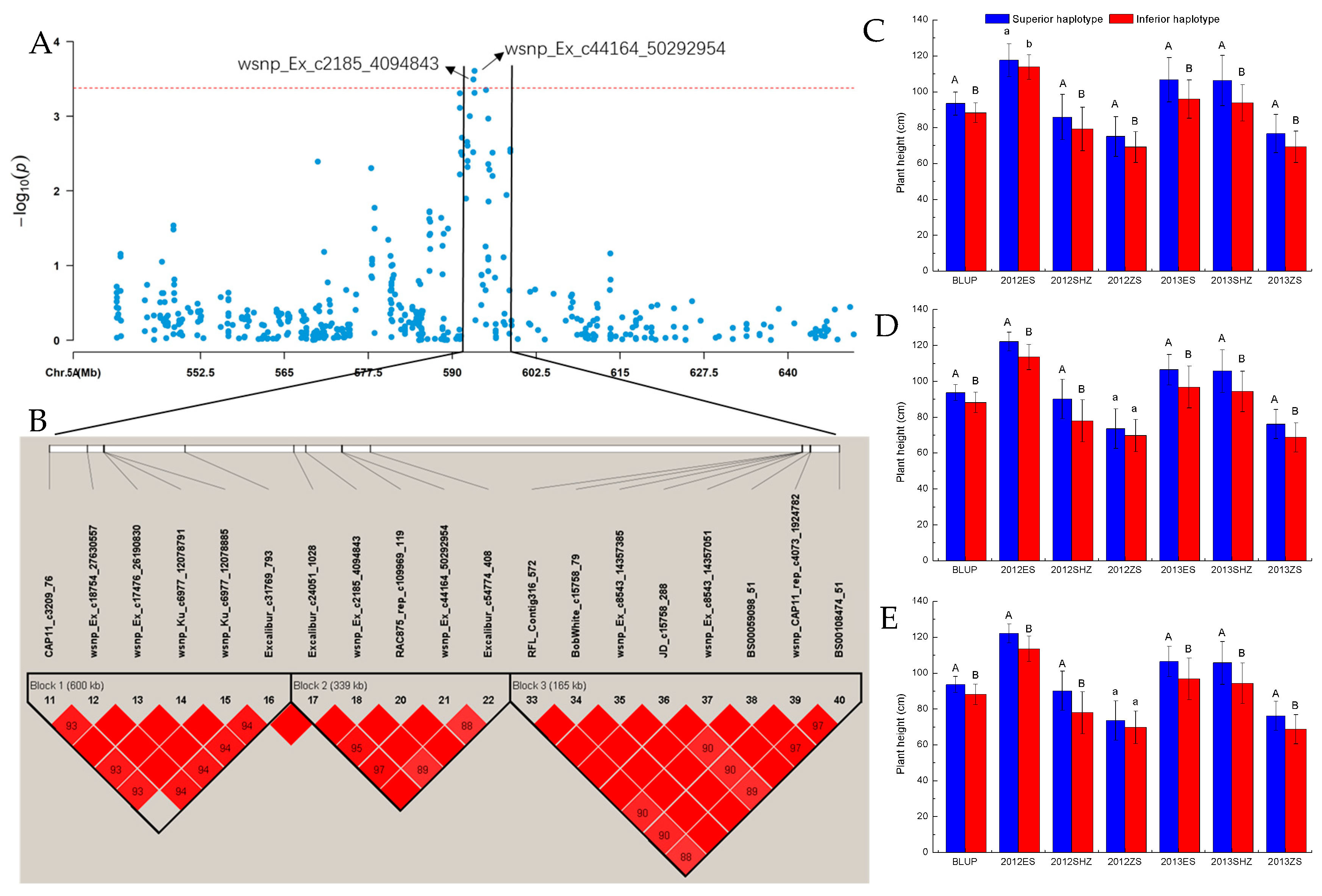 Agronomy 13 02784 g001