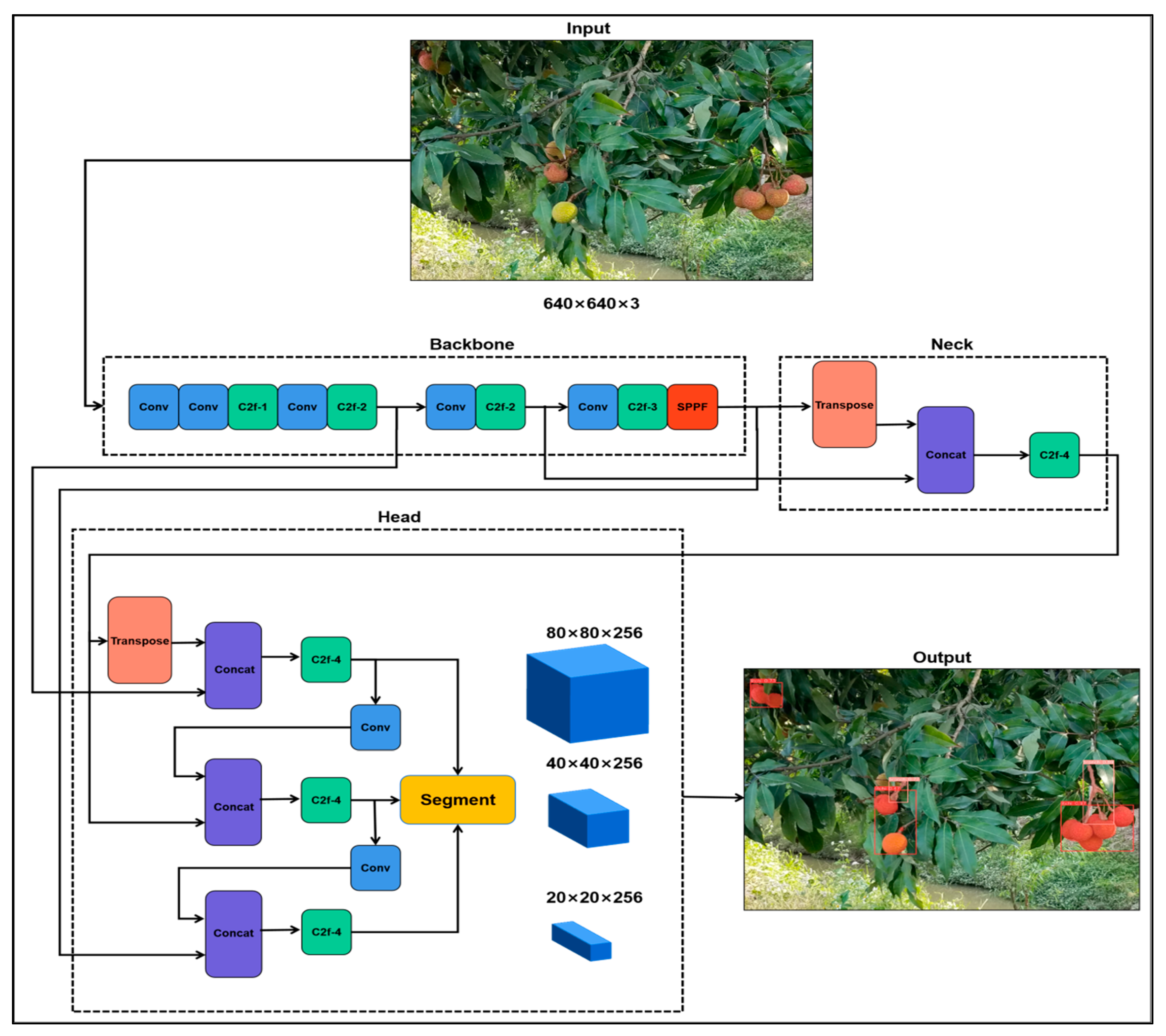 Agronomy 13 02795 g004