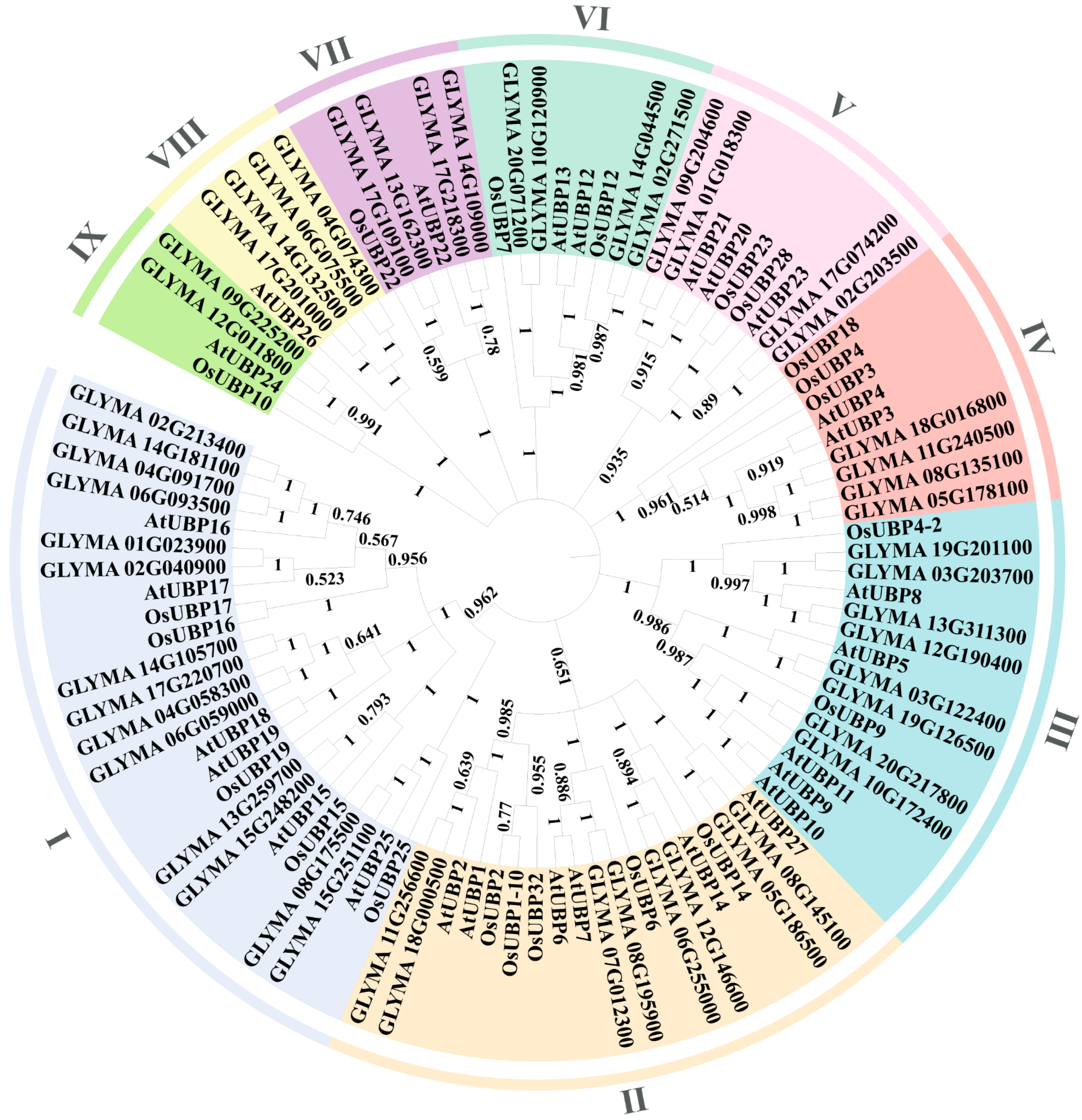 Agronomy 13 02809 g001