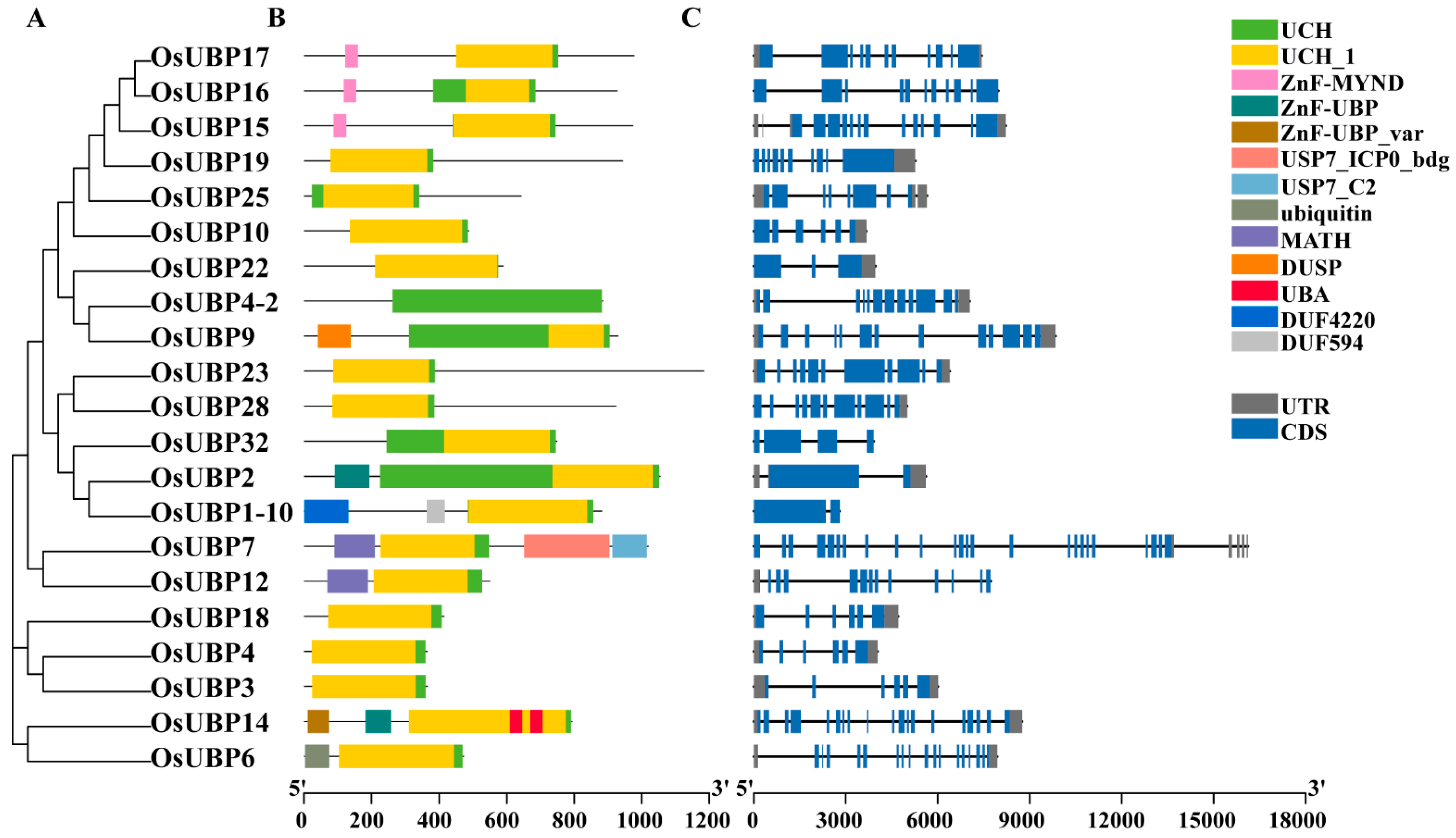 Agronomy 13 02809 g002
