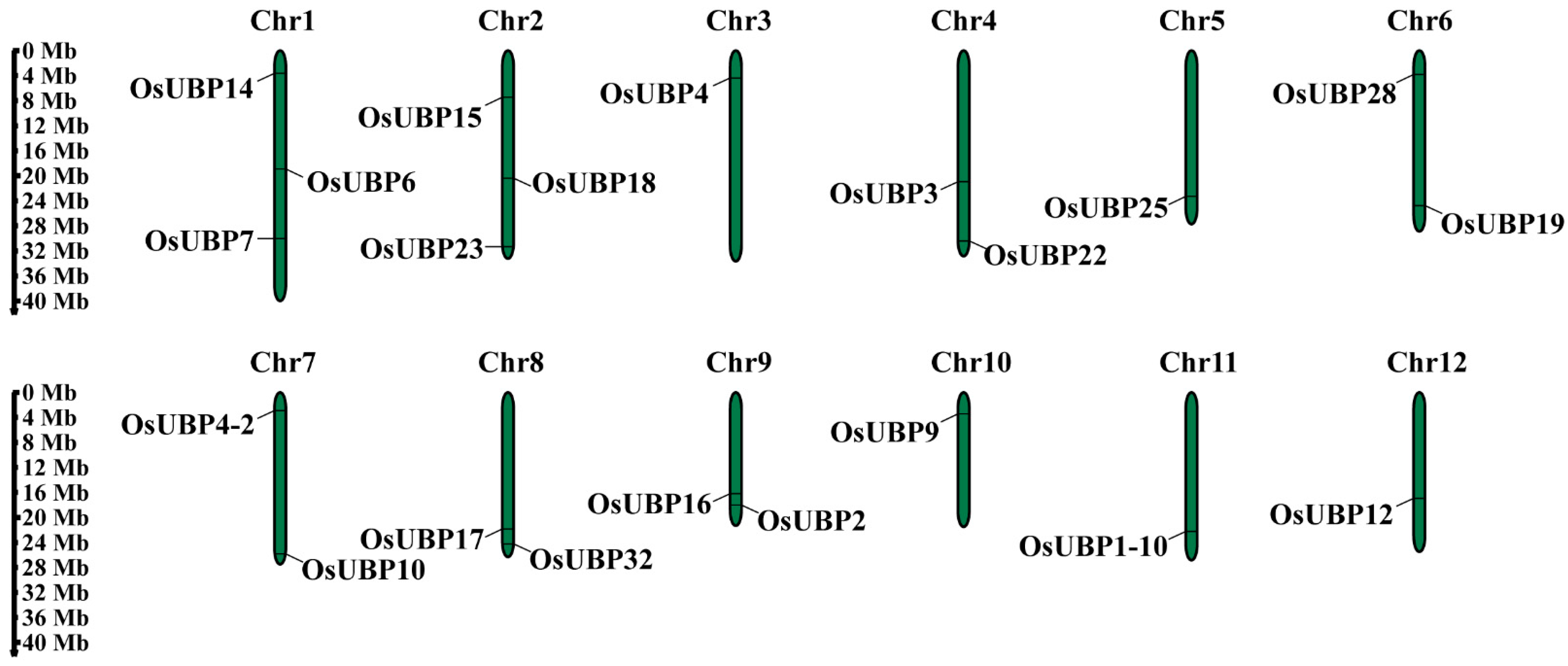 Agronomy 13 02809 g004